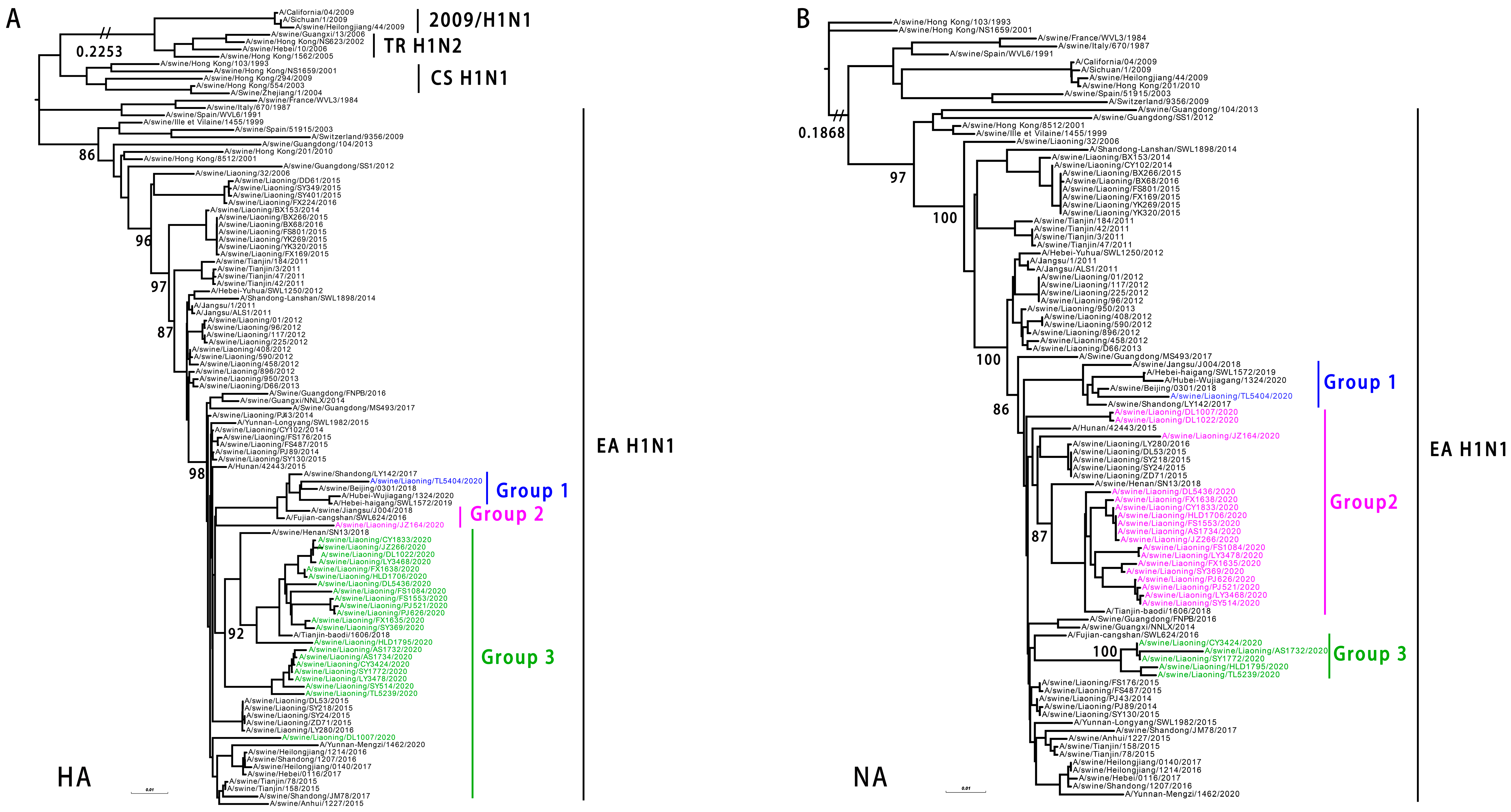 Viruses 14 00643 g003 Viruses 14 00643 g003