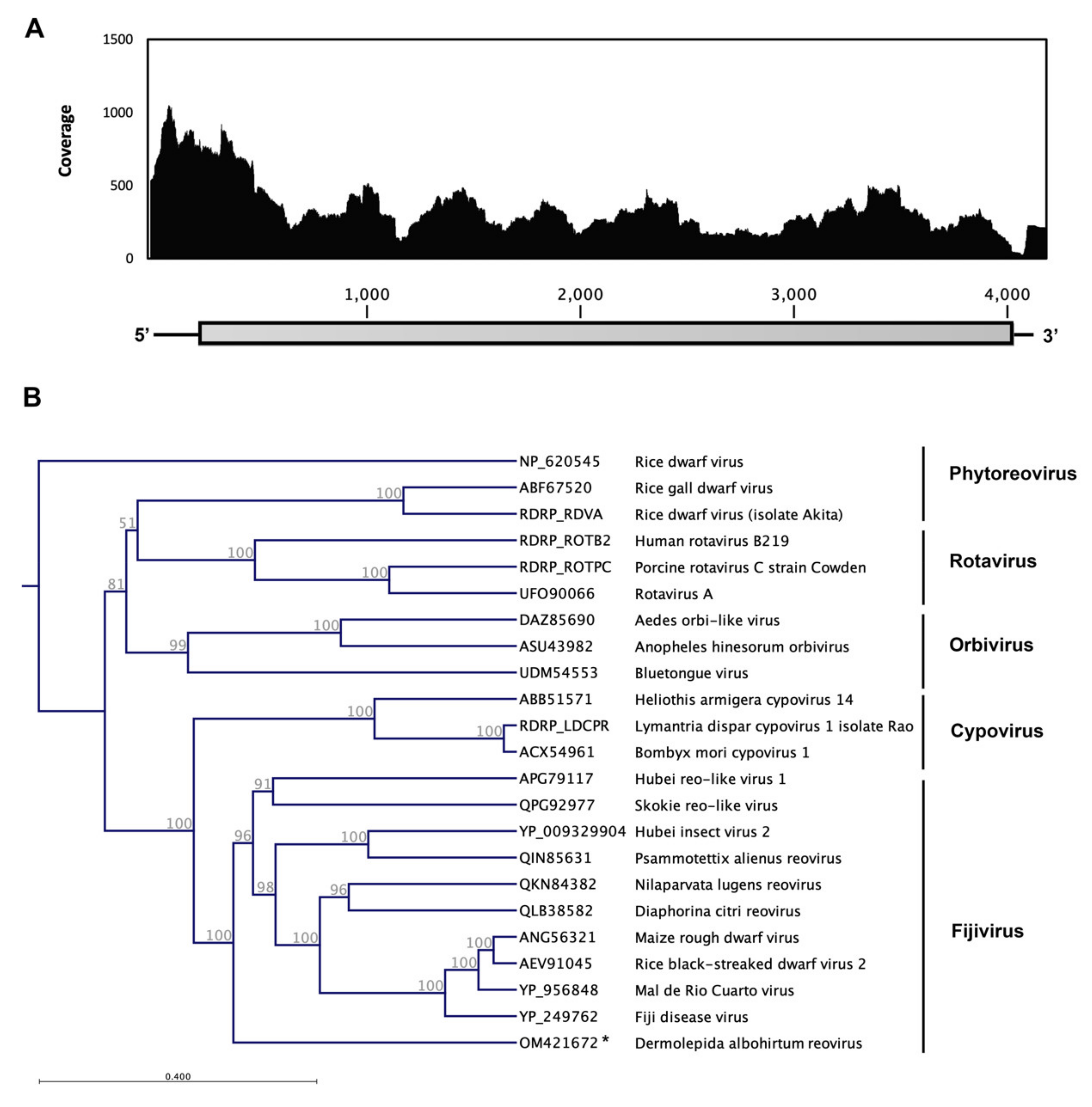 Viruses 14 00649 g004 Viruses 14 00649 g004