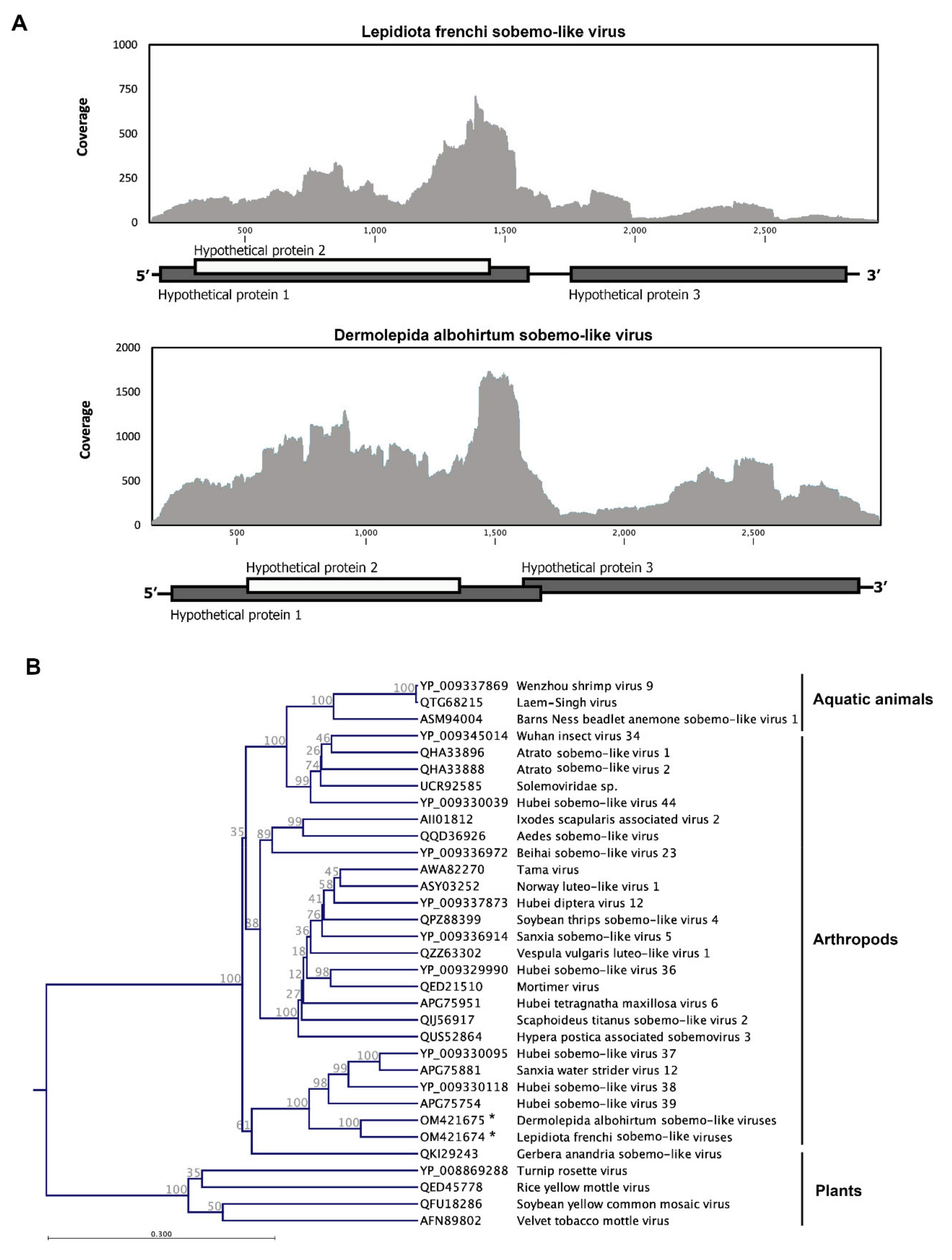 Viruses 14 00649 g005 Viruses 14 00649 g005