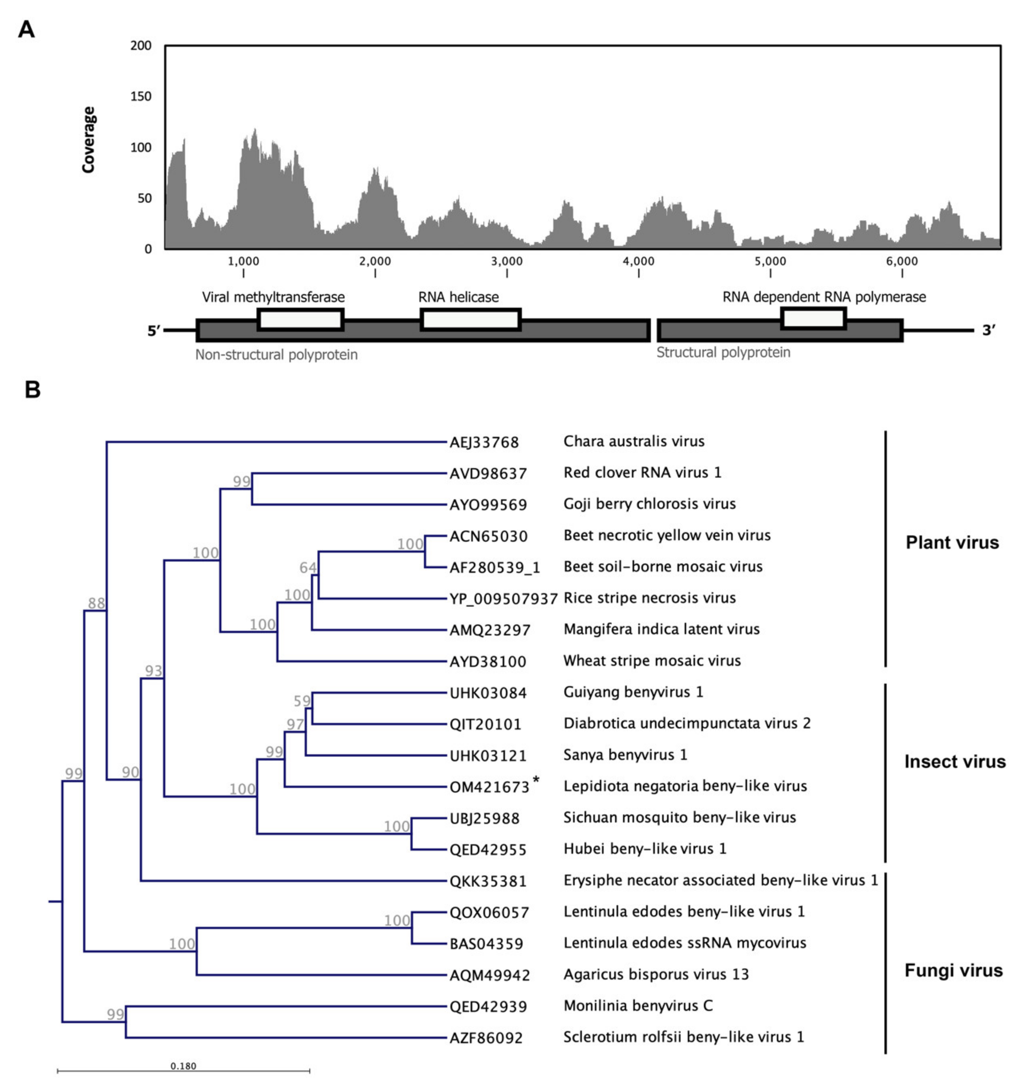 Viruses 14 00649 g006 Viruses 14 00649 g006