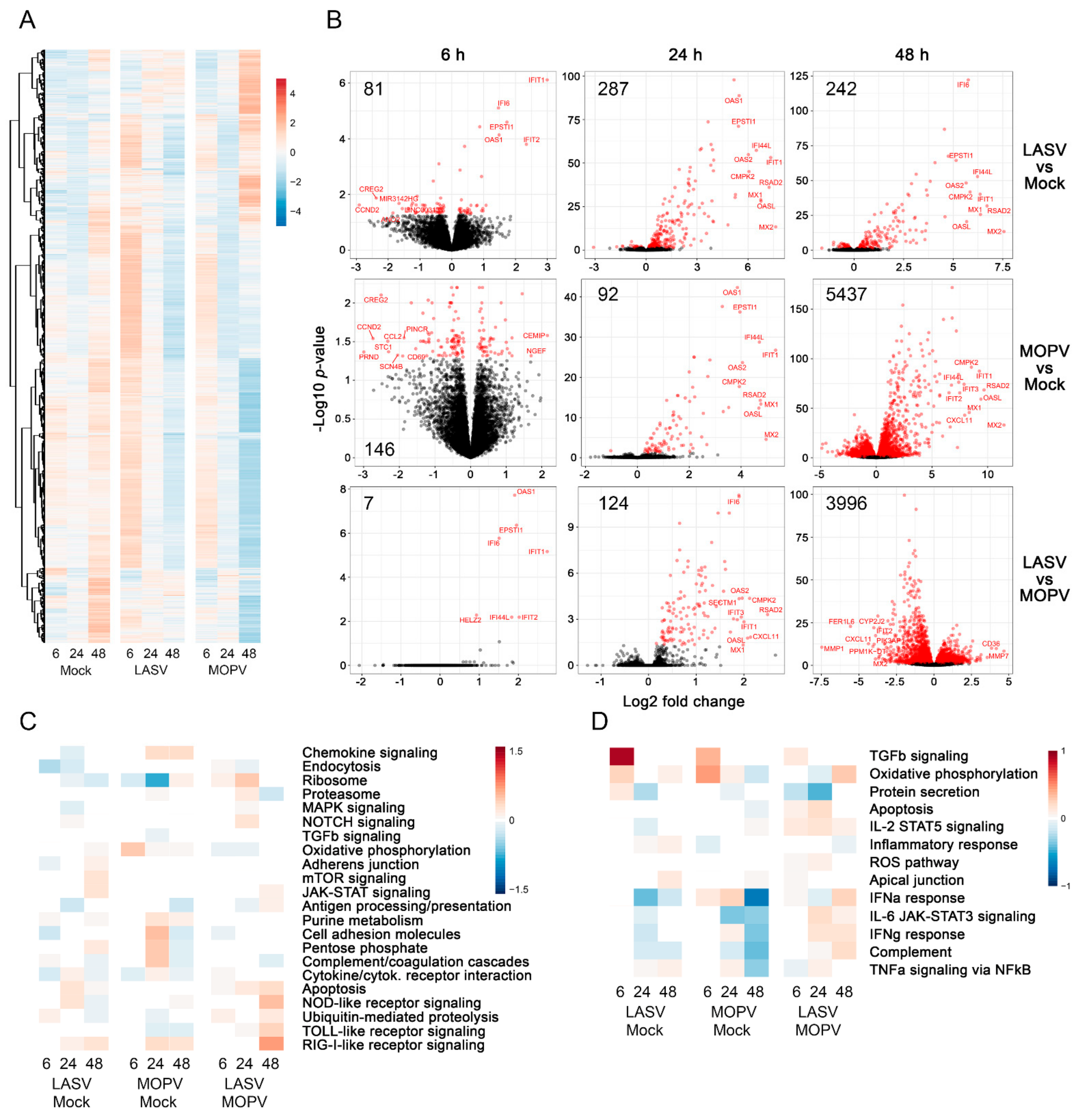 Viruses 14 00652 g002