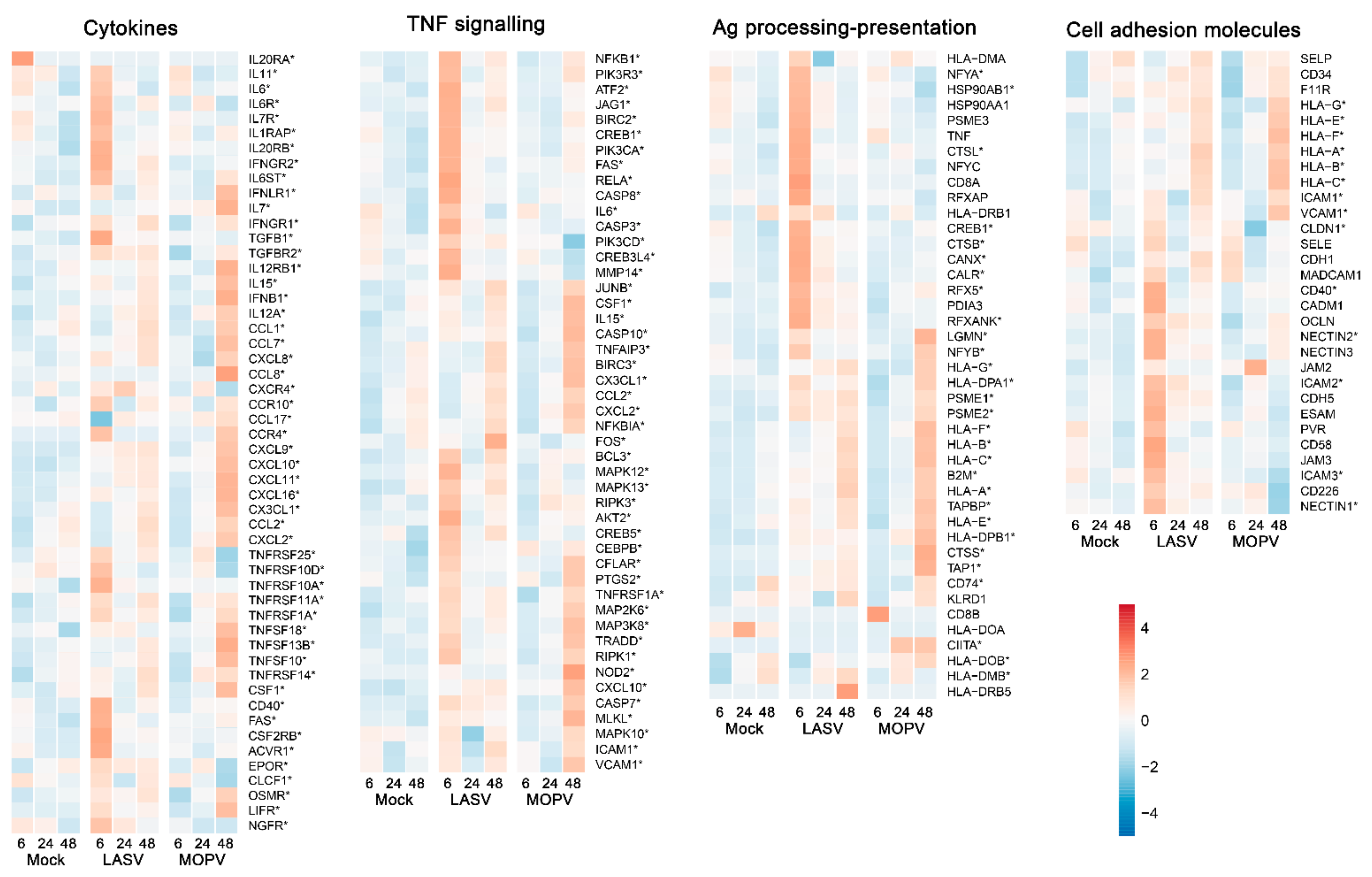 Viruses 14 00652 g004