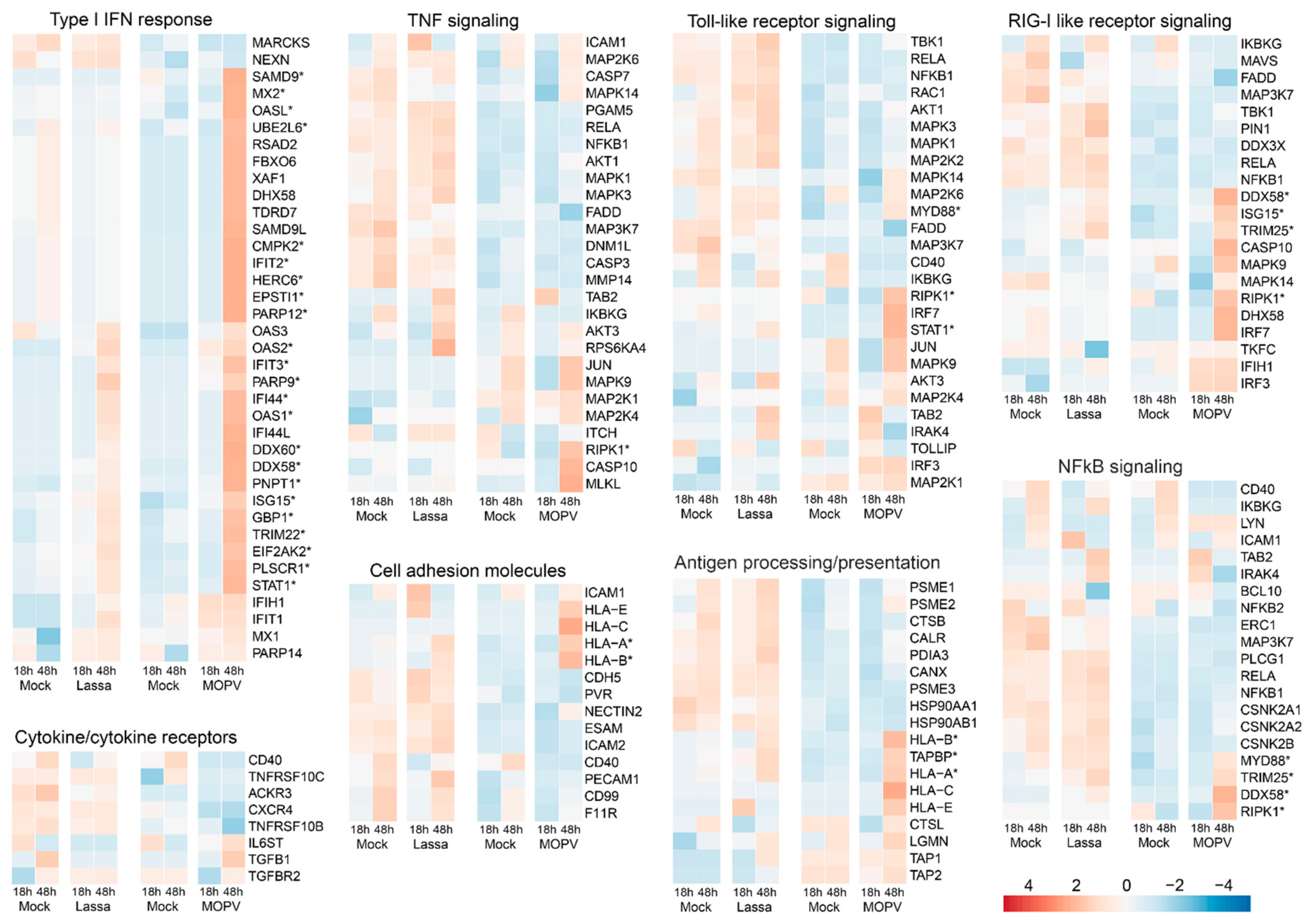 Viruses 14 00652 g007