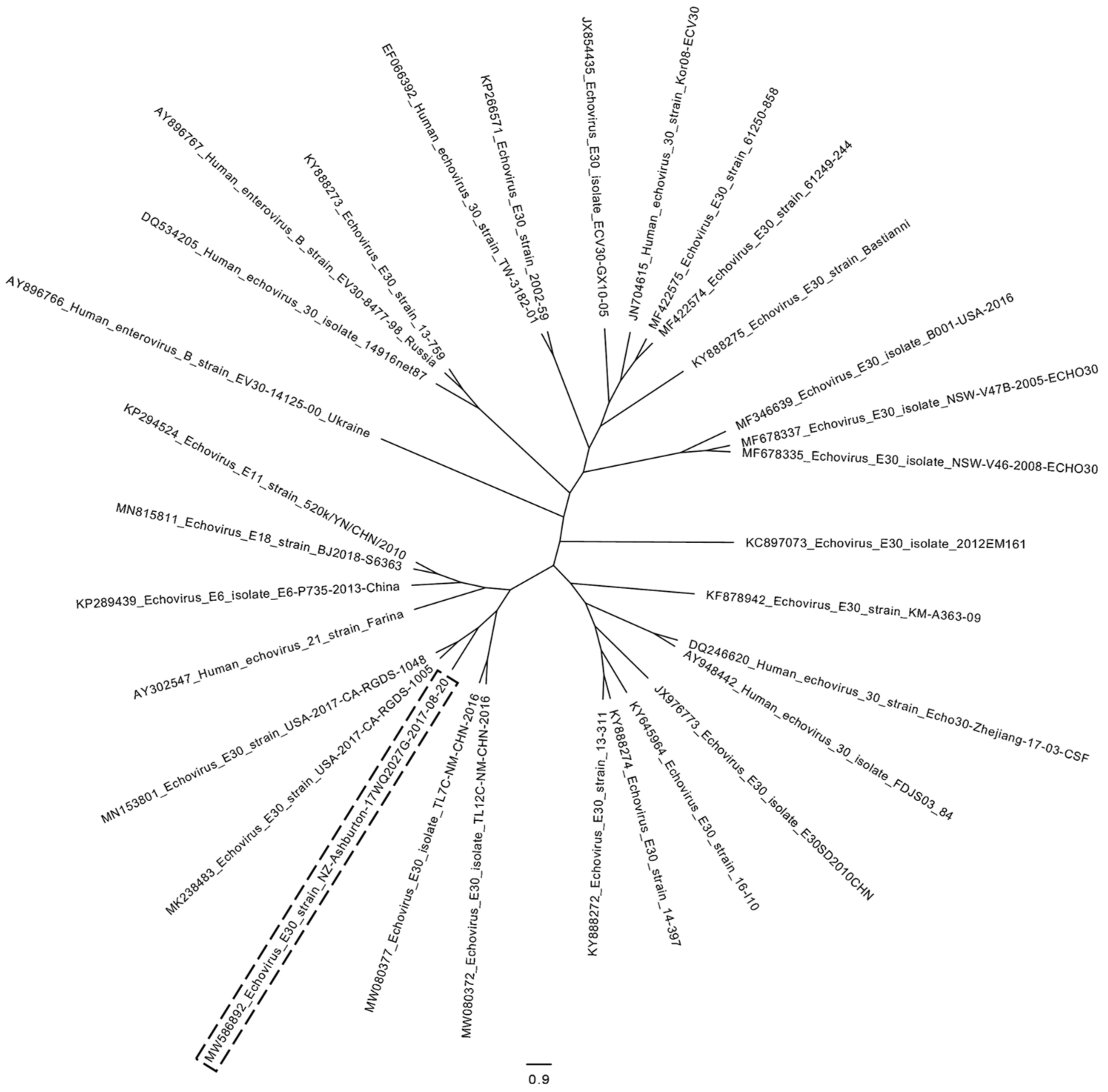 Viruses 14 00658 g004 Viruses 14 00658 g004