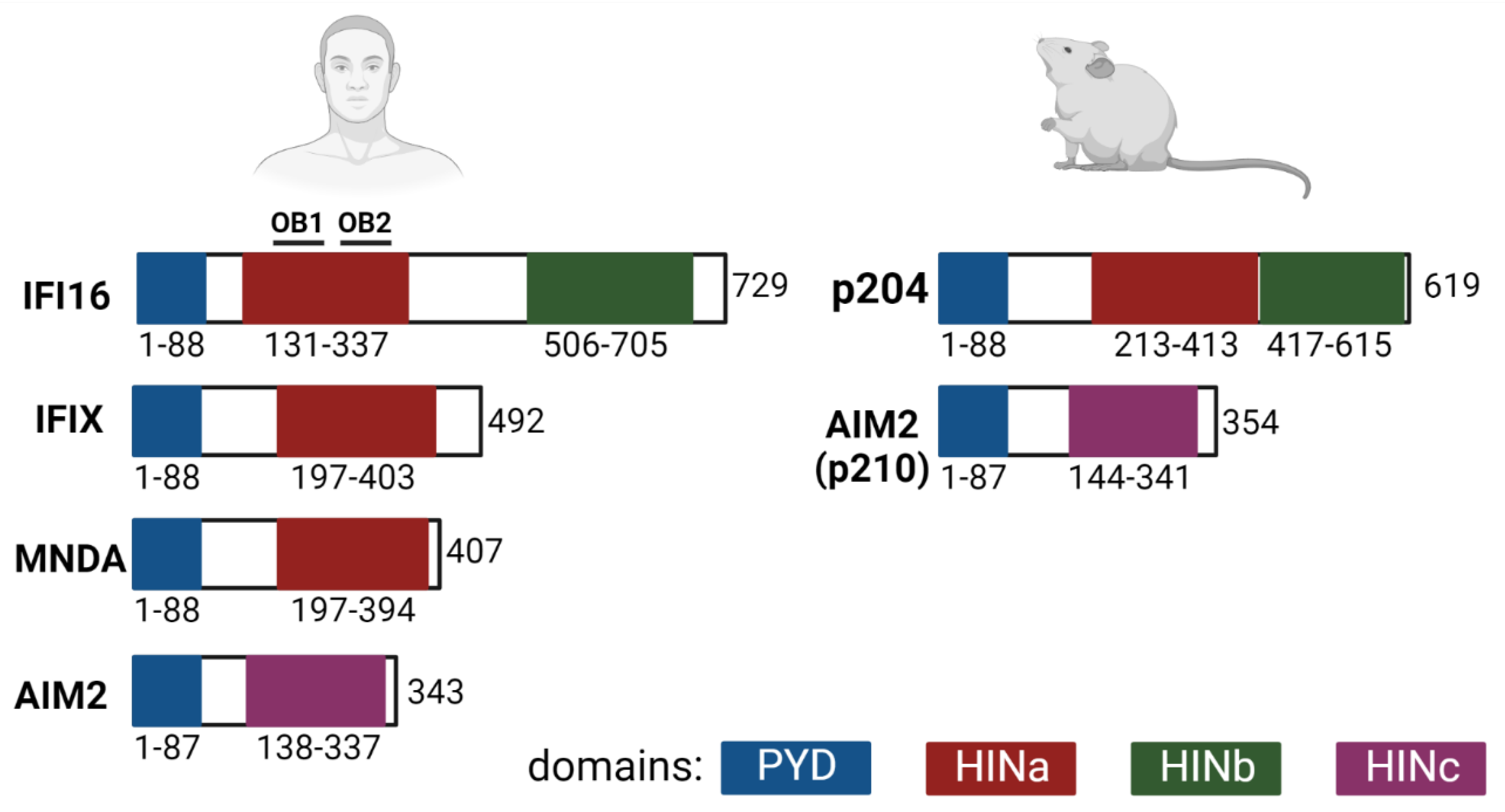 Viruses 14 00666 g003 550