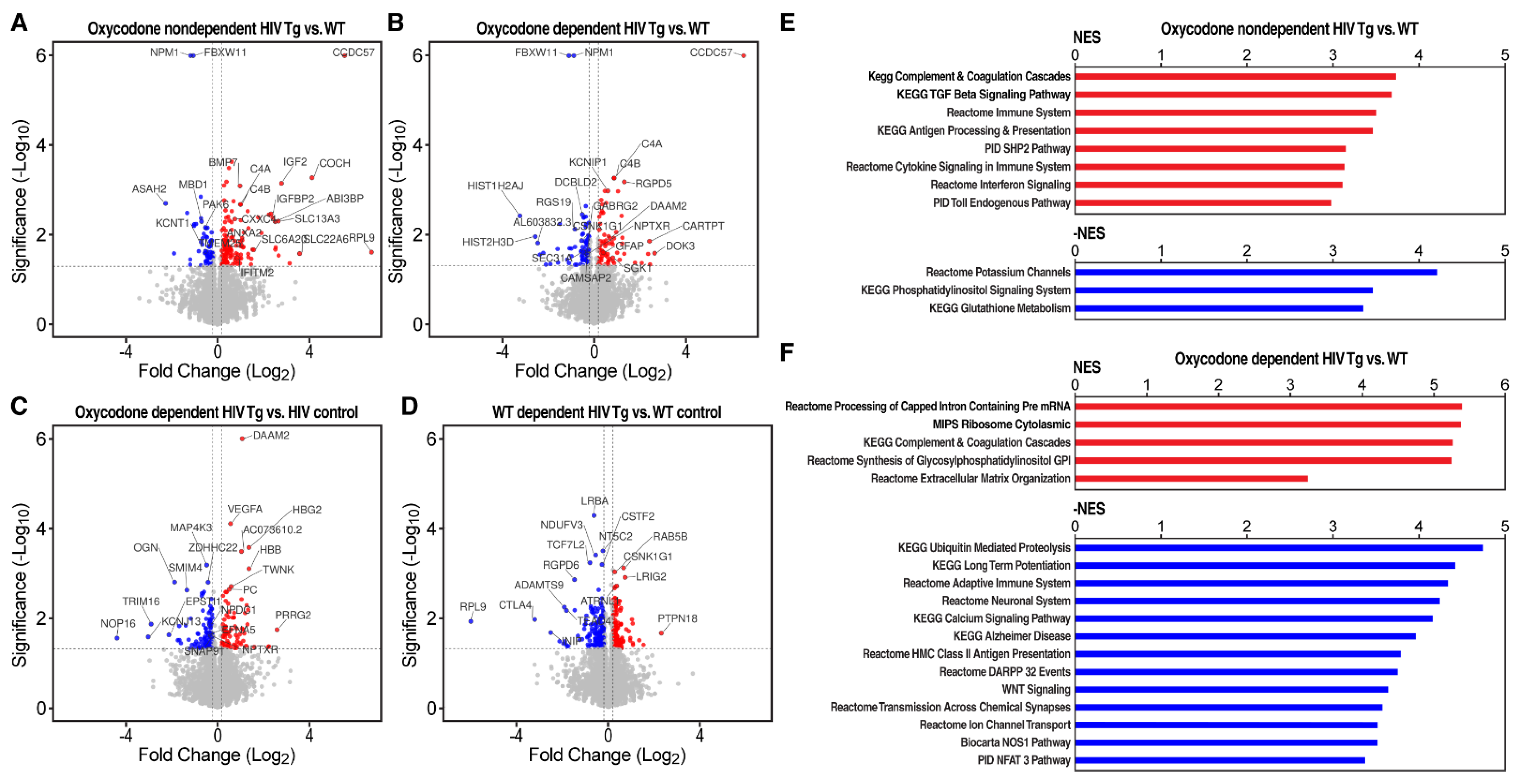 Viruses 14 00669 g002 Viruses 14 00669 g002