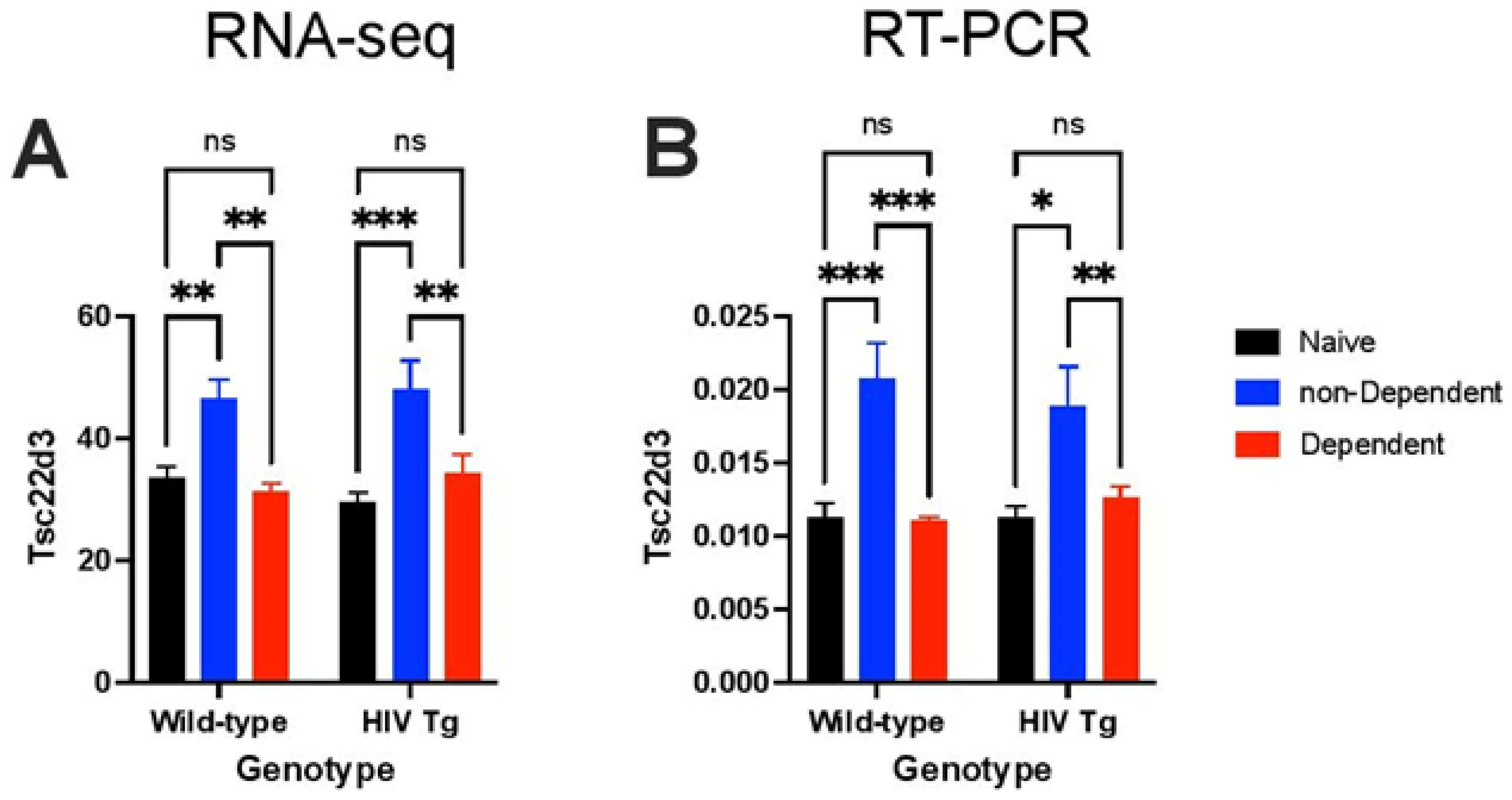 Viruses 14 00669 g003 Viruses 14 00669 g003