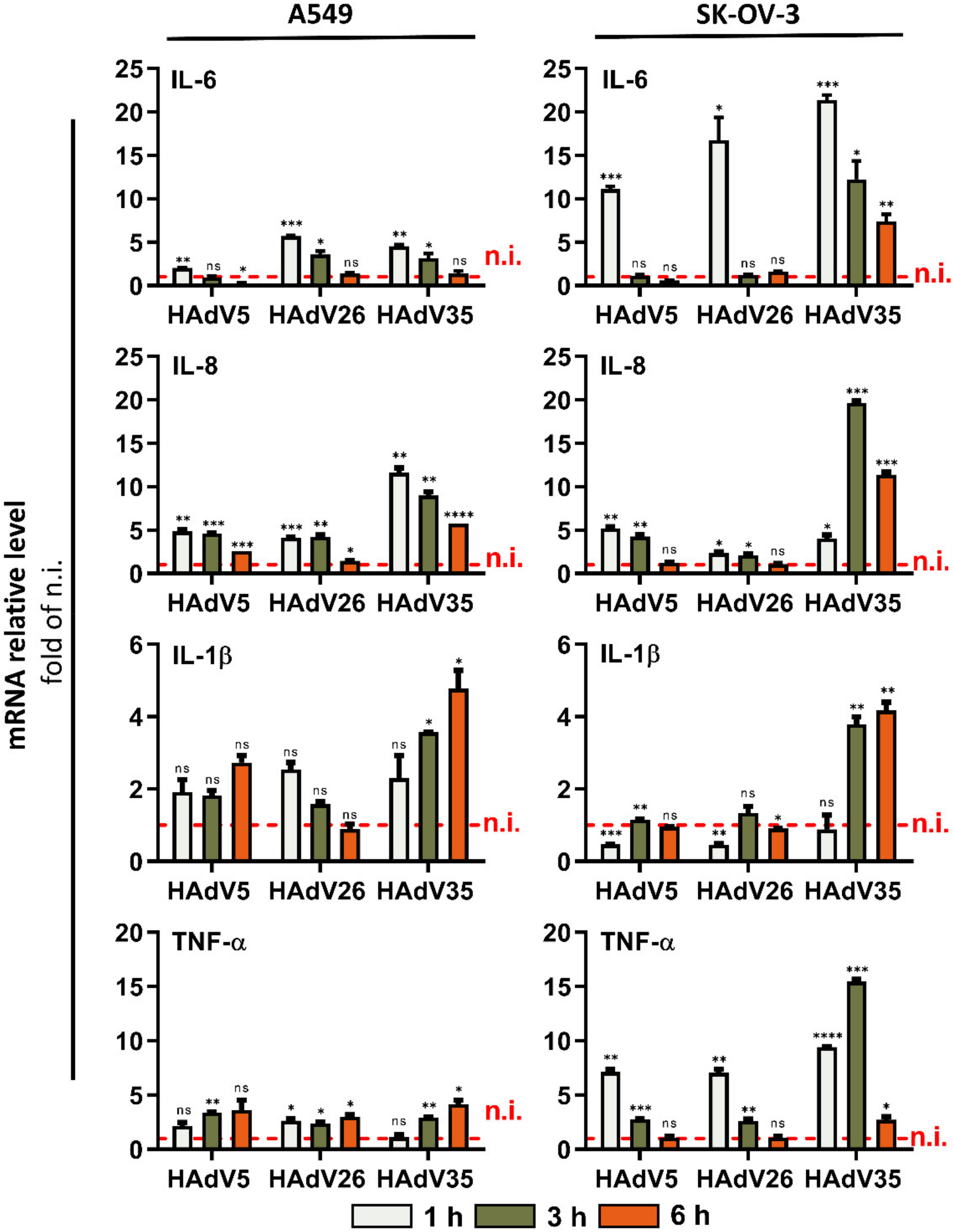 Viruses 14 00672 g002 Viruses 14 00672 g002