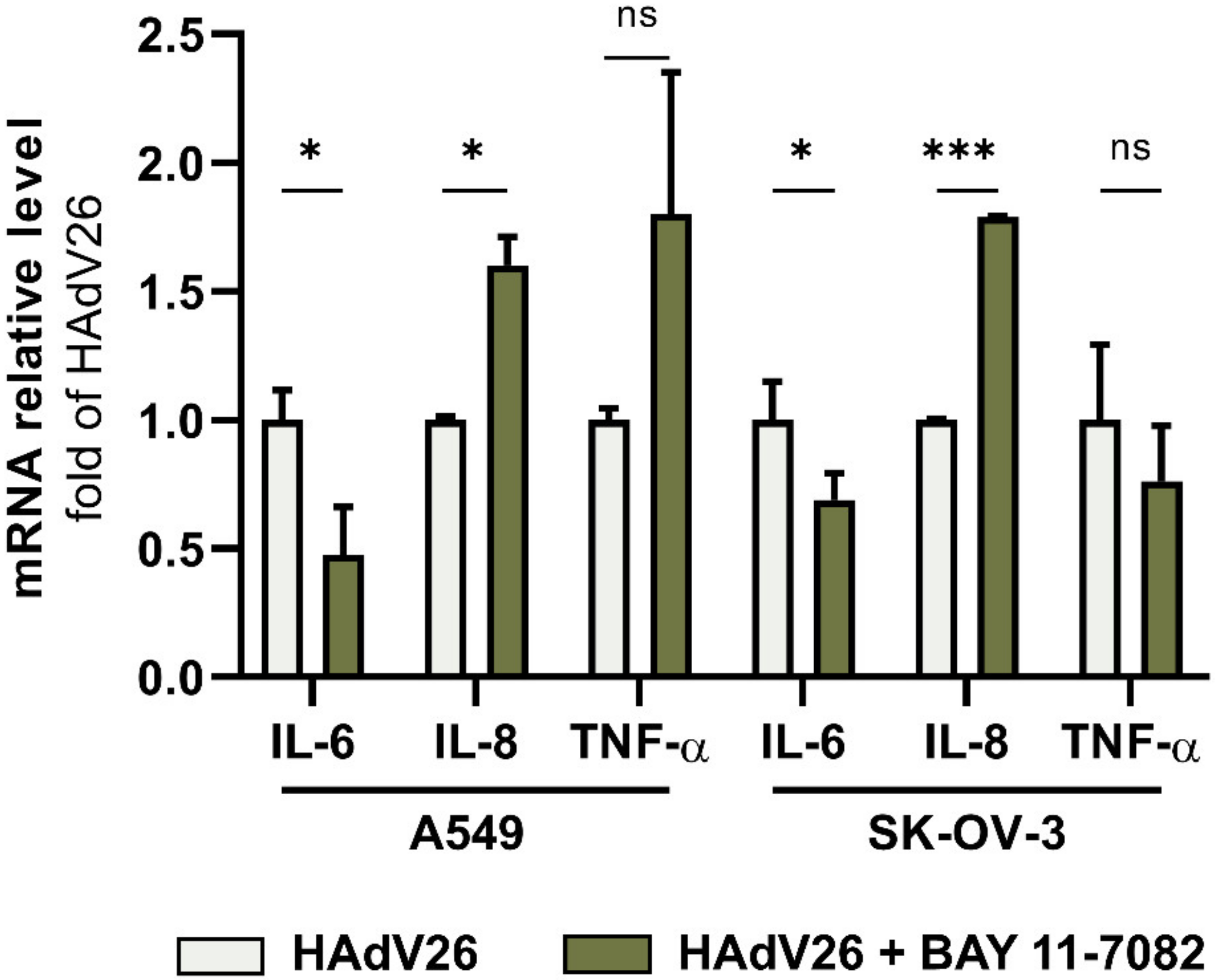 Viruses 14 00672 g006 Viruses 14 00672 g006