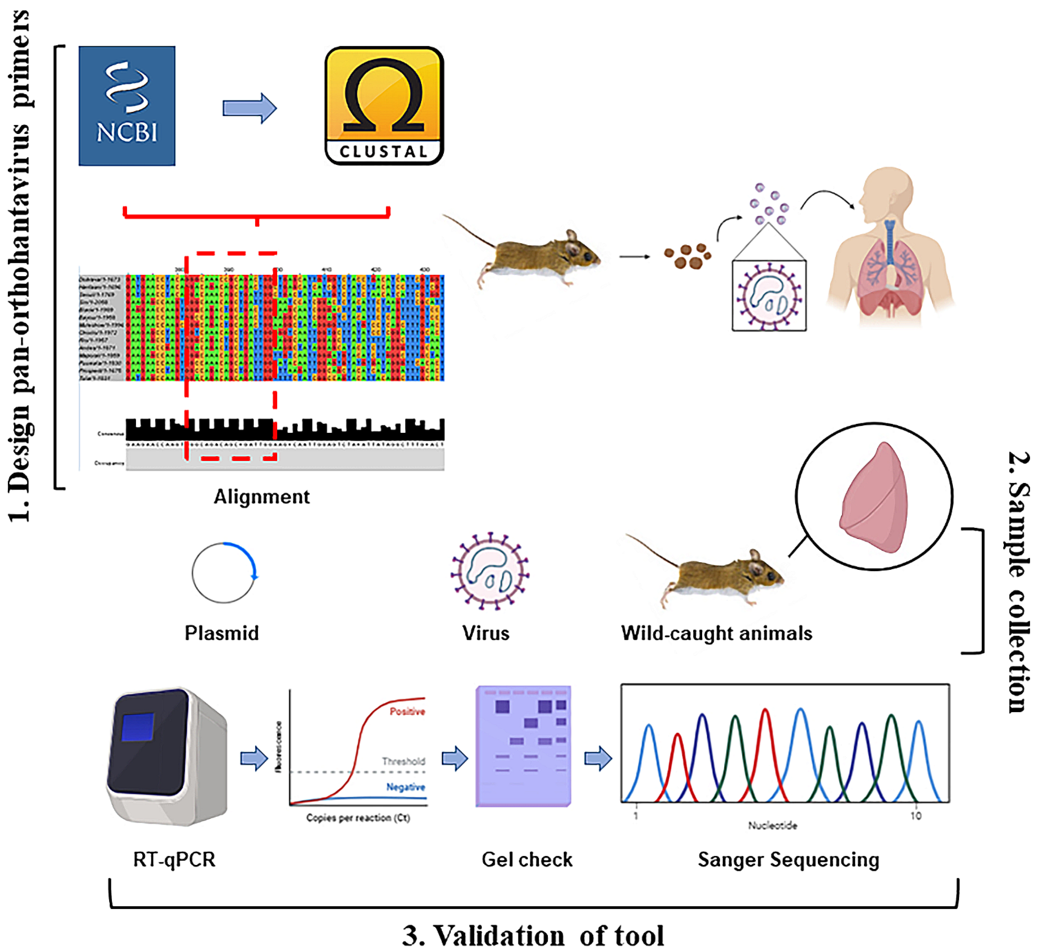 Viruses 14 00682 g005