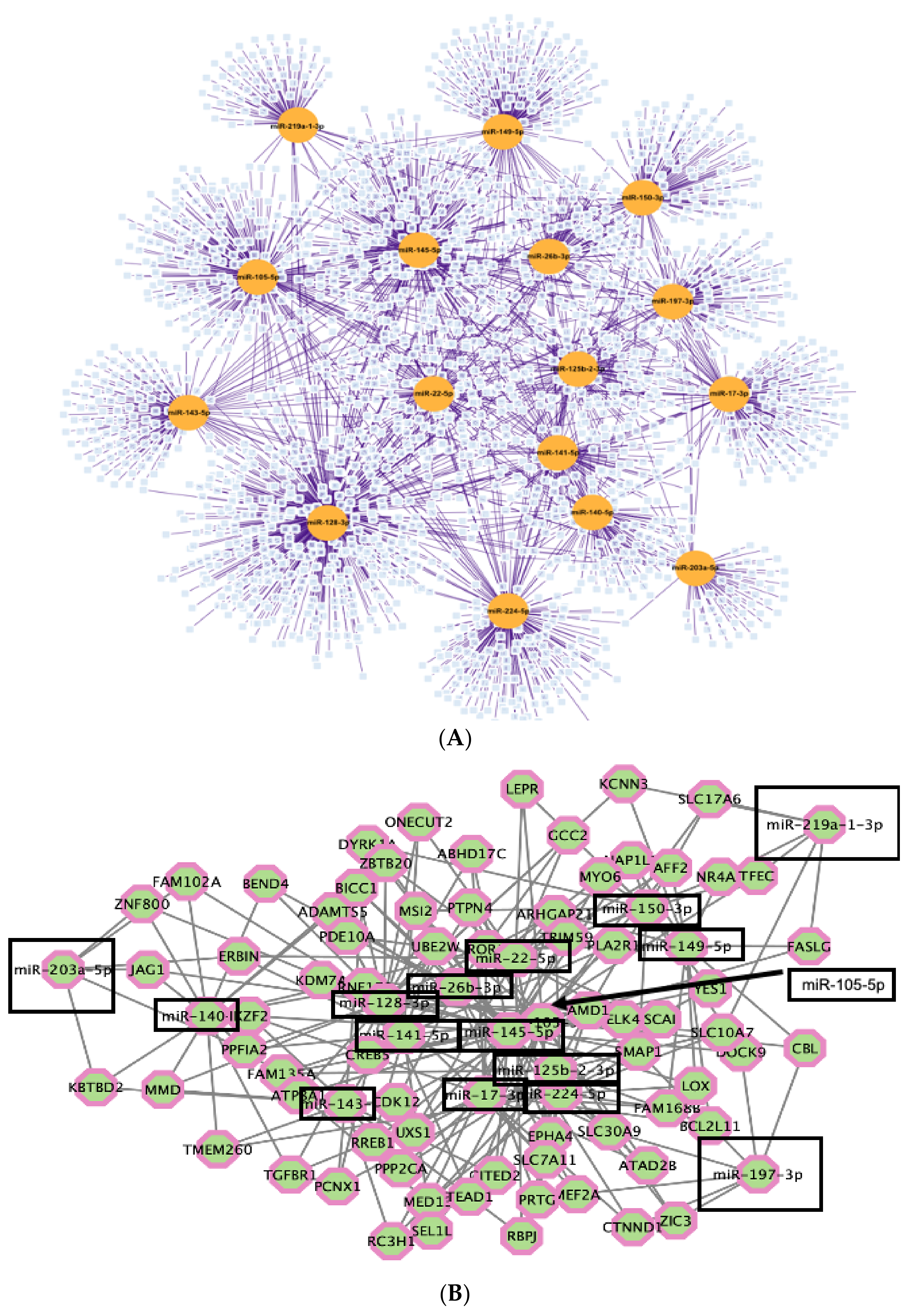 Viruses 14 00683 g004a
