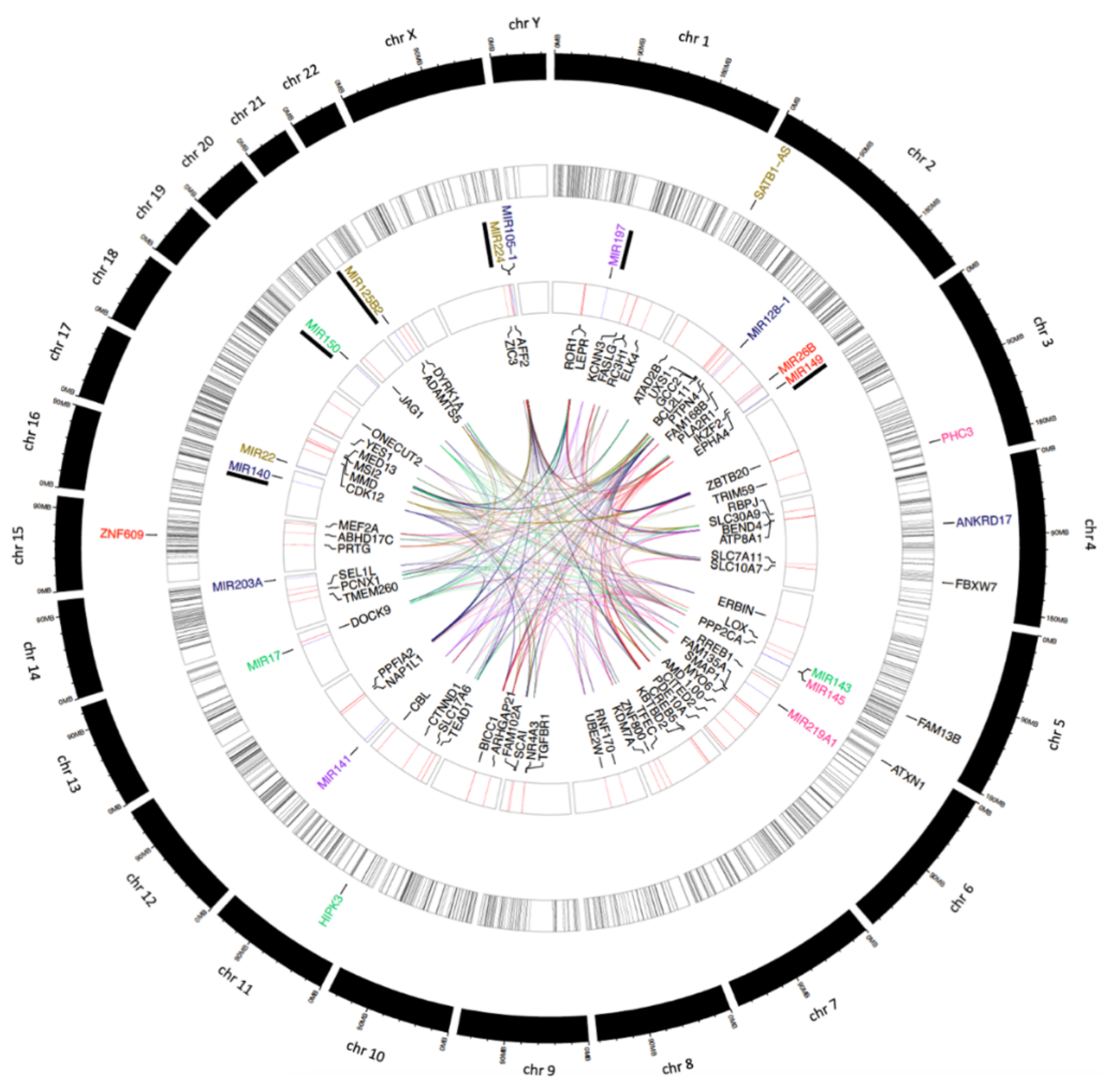 Viruses 14 00683 g006