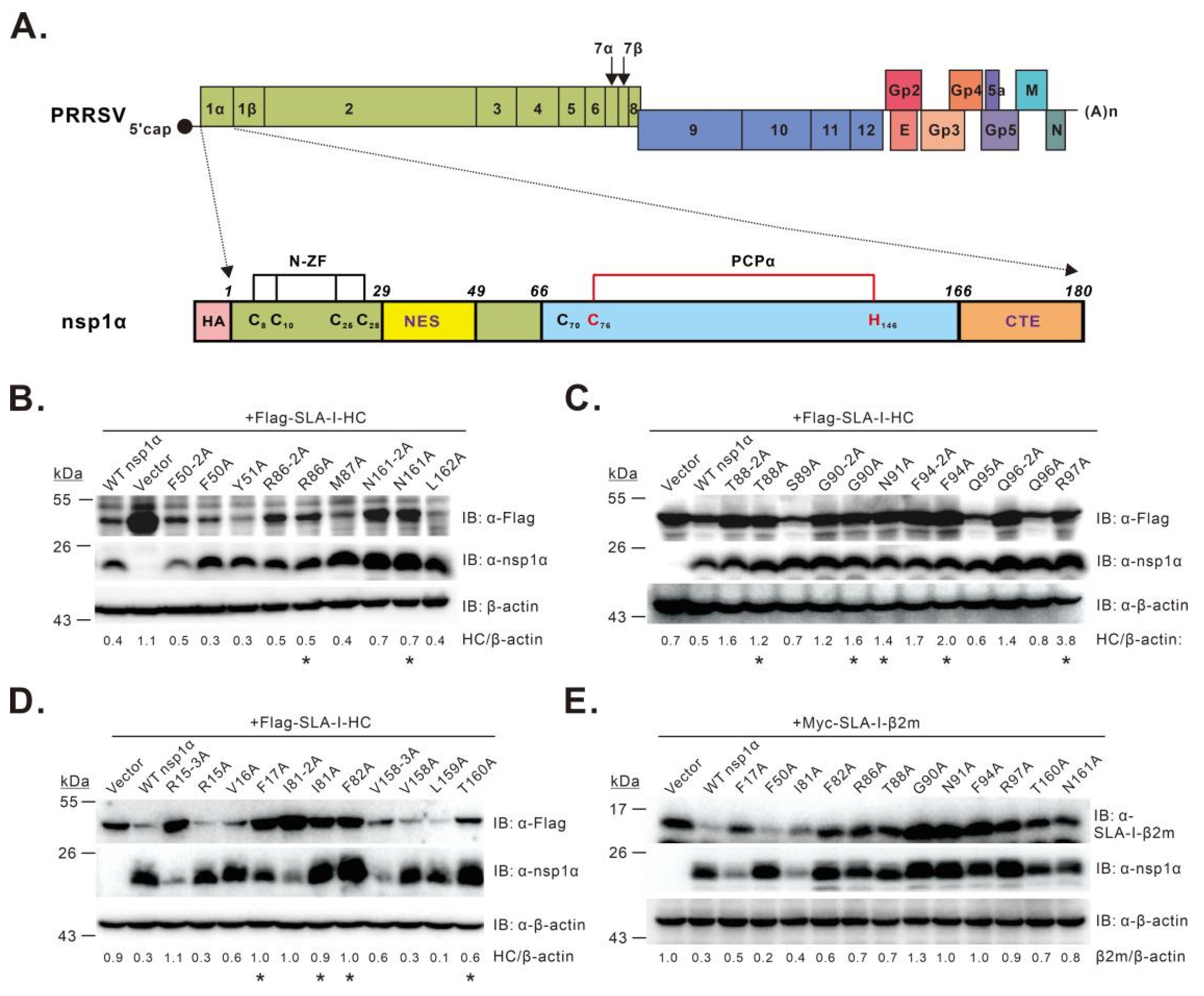 Viruses 14 00690 g001 Viruses 14 00690 g001