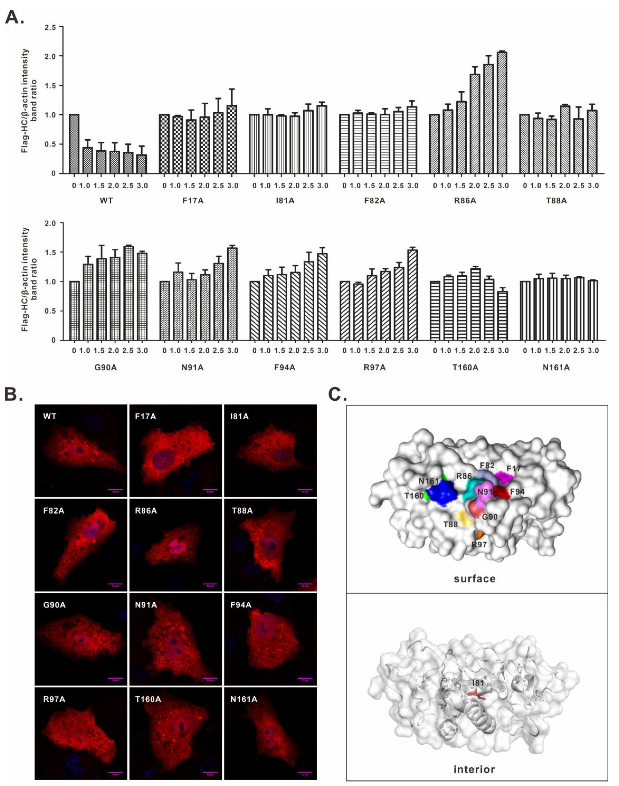 Viruses 14 00690 g002 Viruses 14 00690 g002