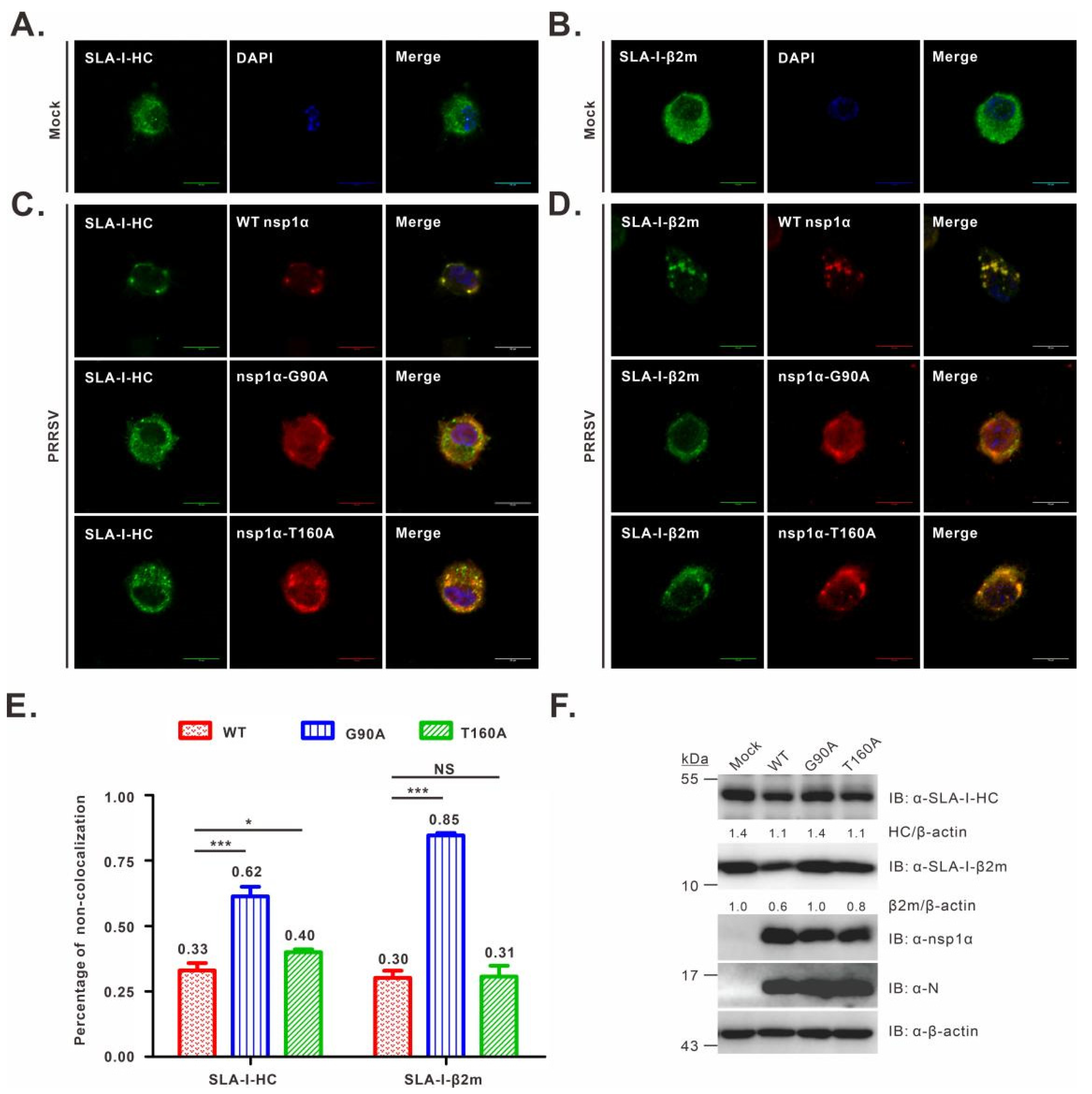 Viruses 14 00690 g004 Viruses 14 00690 g004