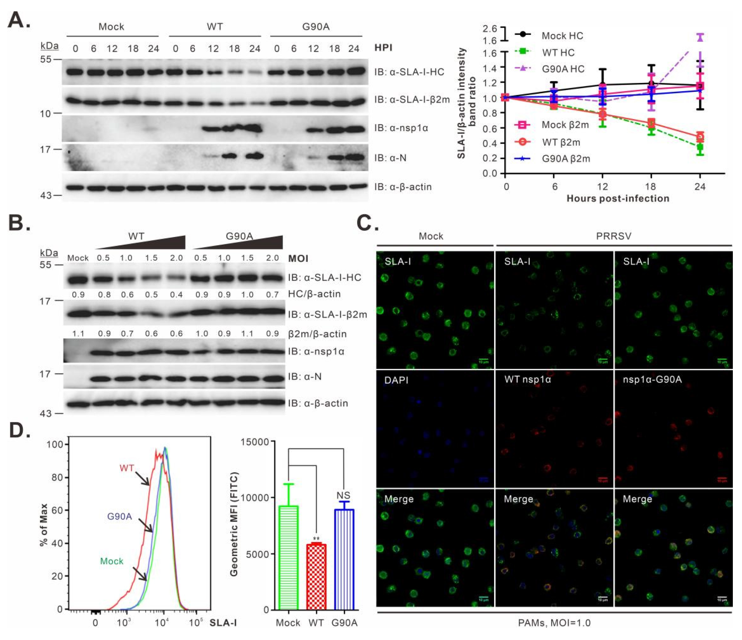 Viruses 14 00690 g005 Viruses 14 00690 g005
