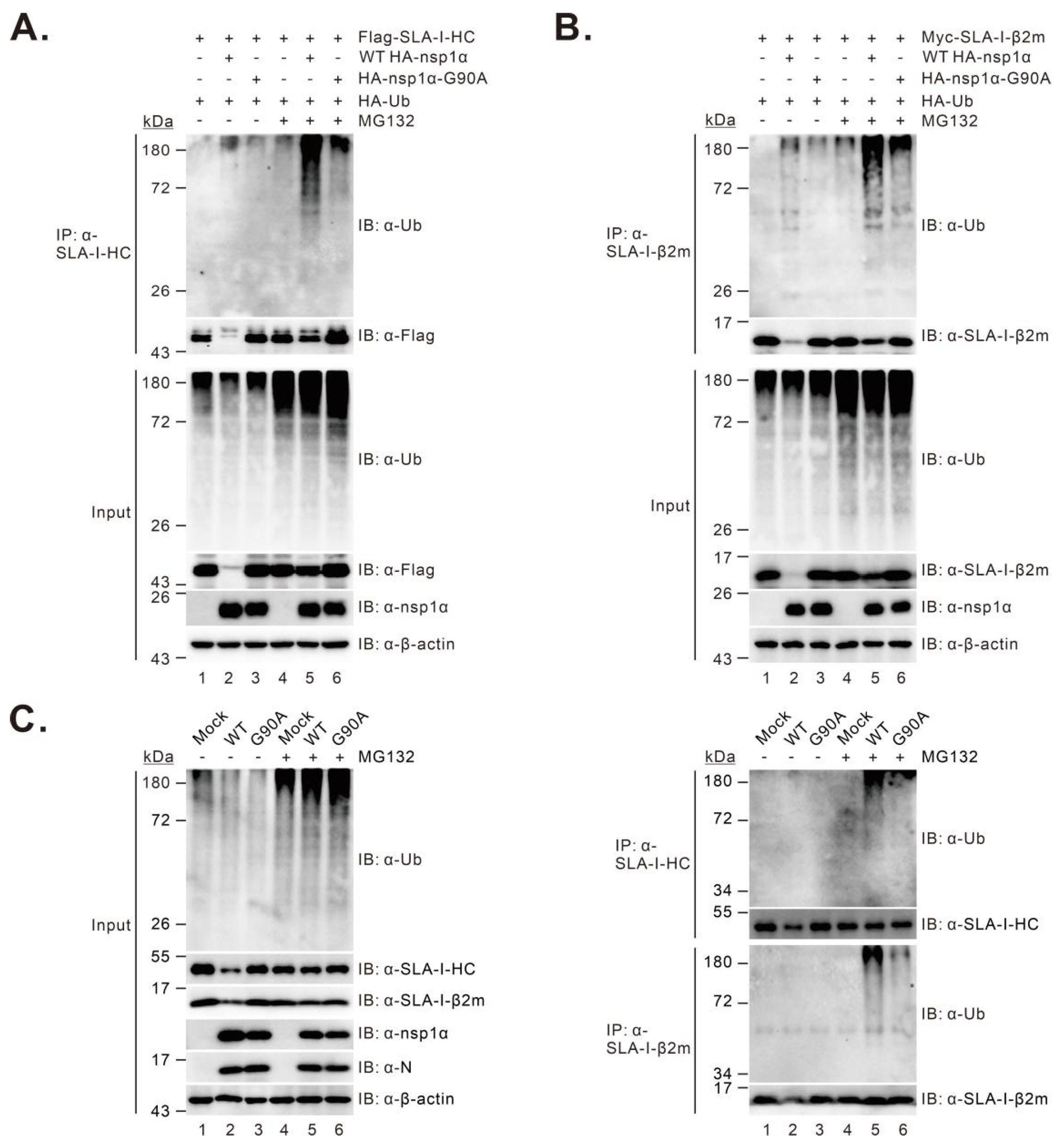 Viruses 14 00690 g006 Viruses 14 00690 g006