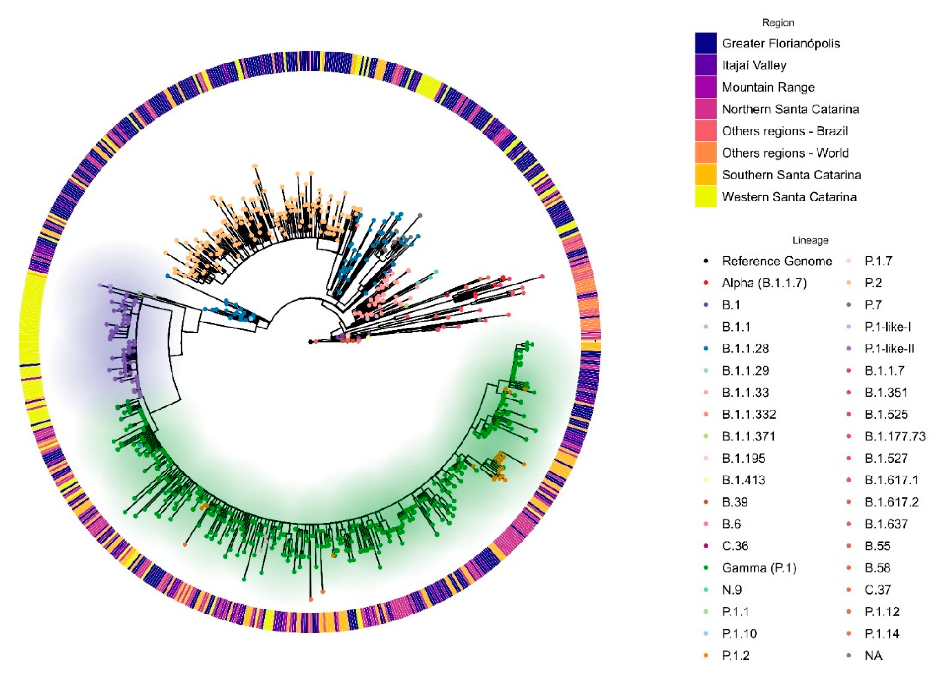 Viruses 14 00695 g003 550