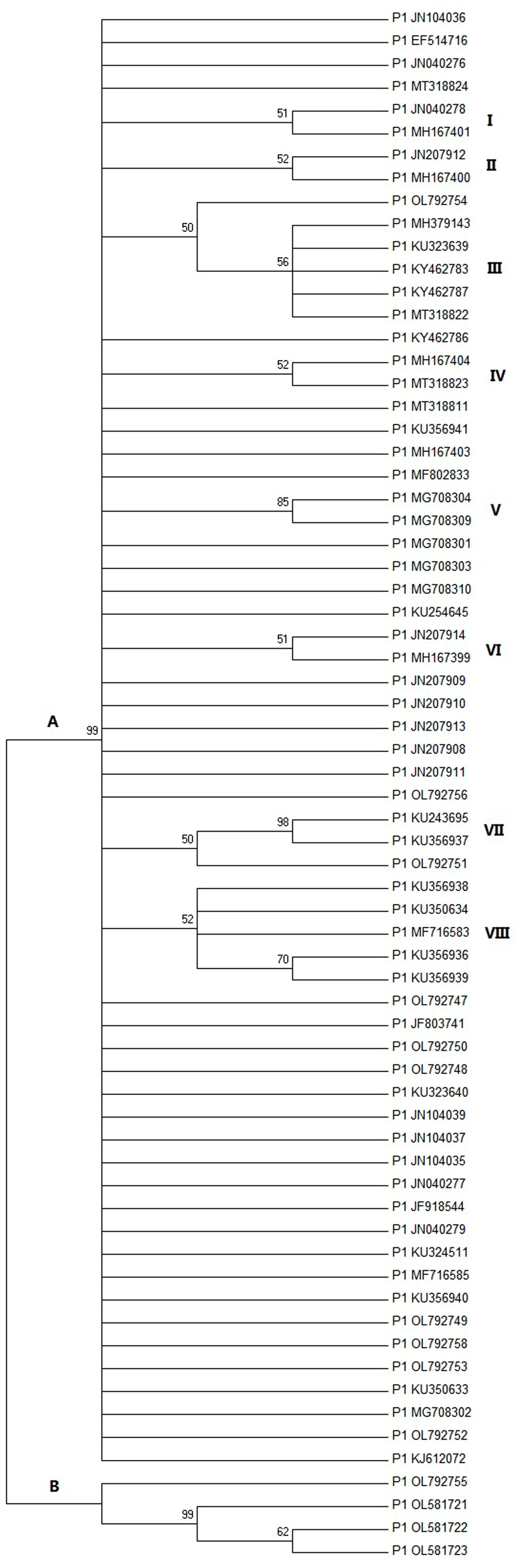 Viruses 14 00696 g001 Viruses 14 00696 g001