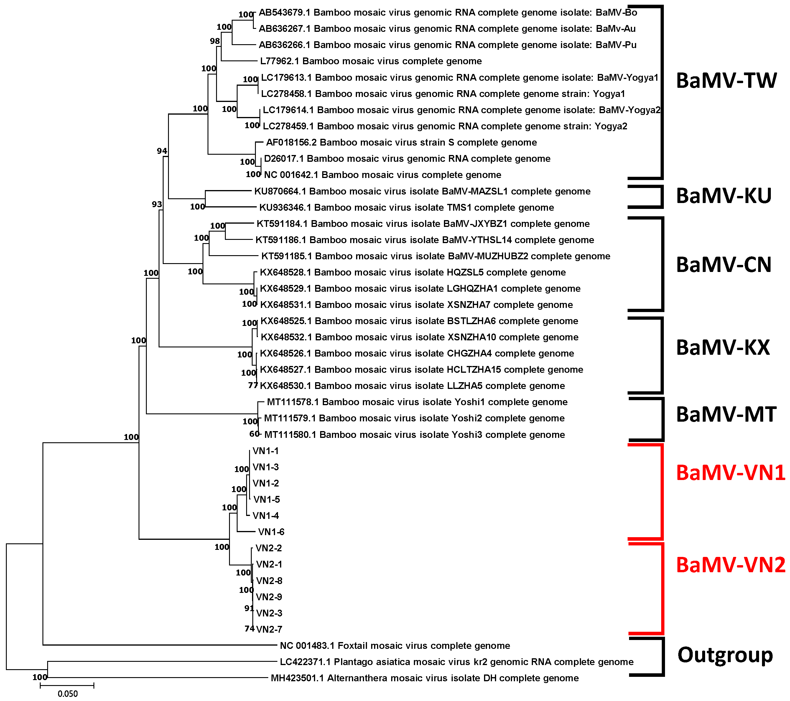 Viruses 14 00698 g002