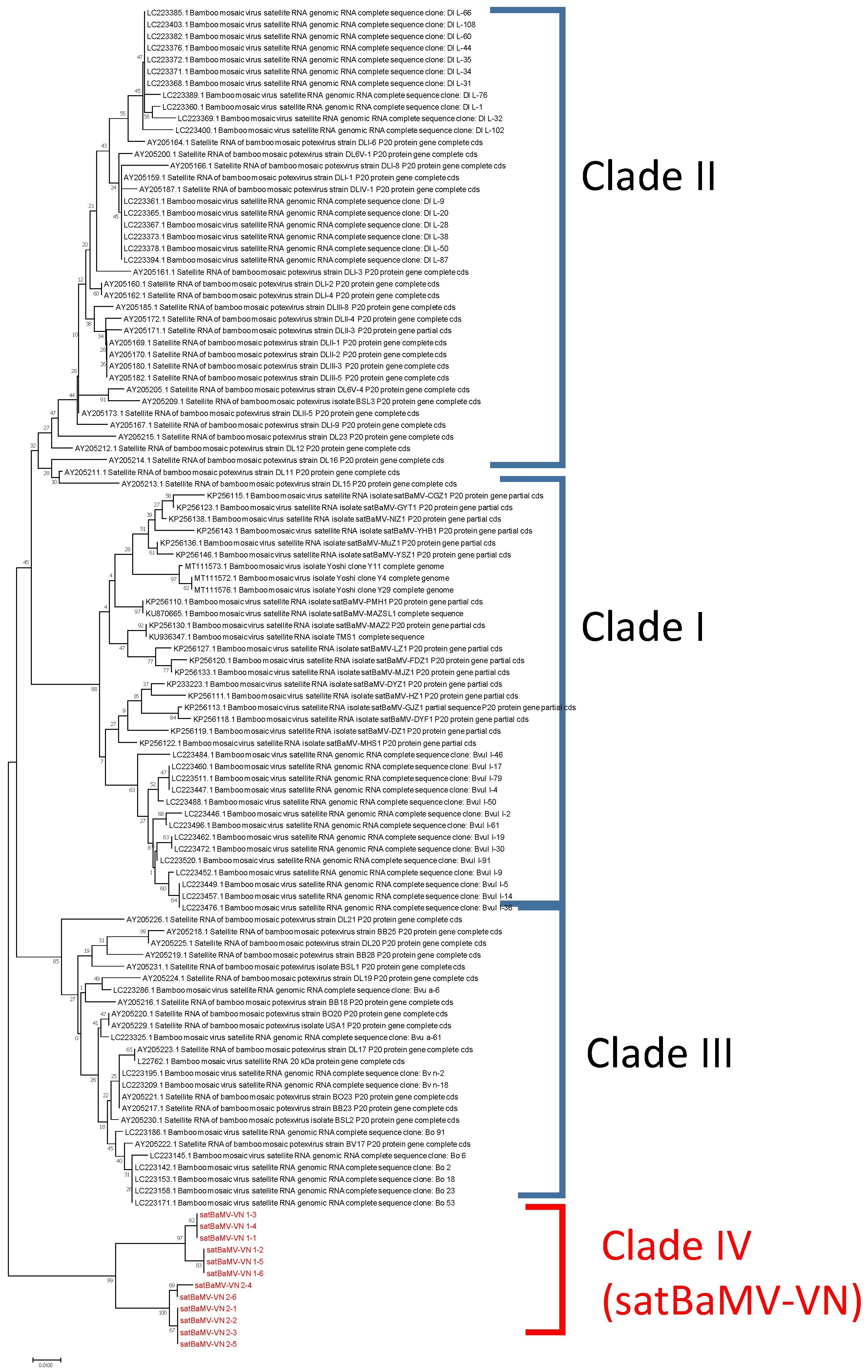 Viruses 14 00698 g003