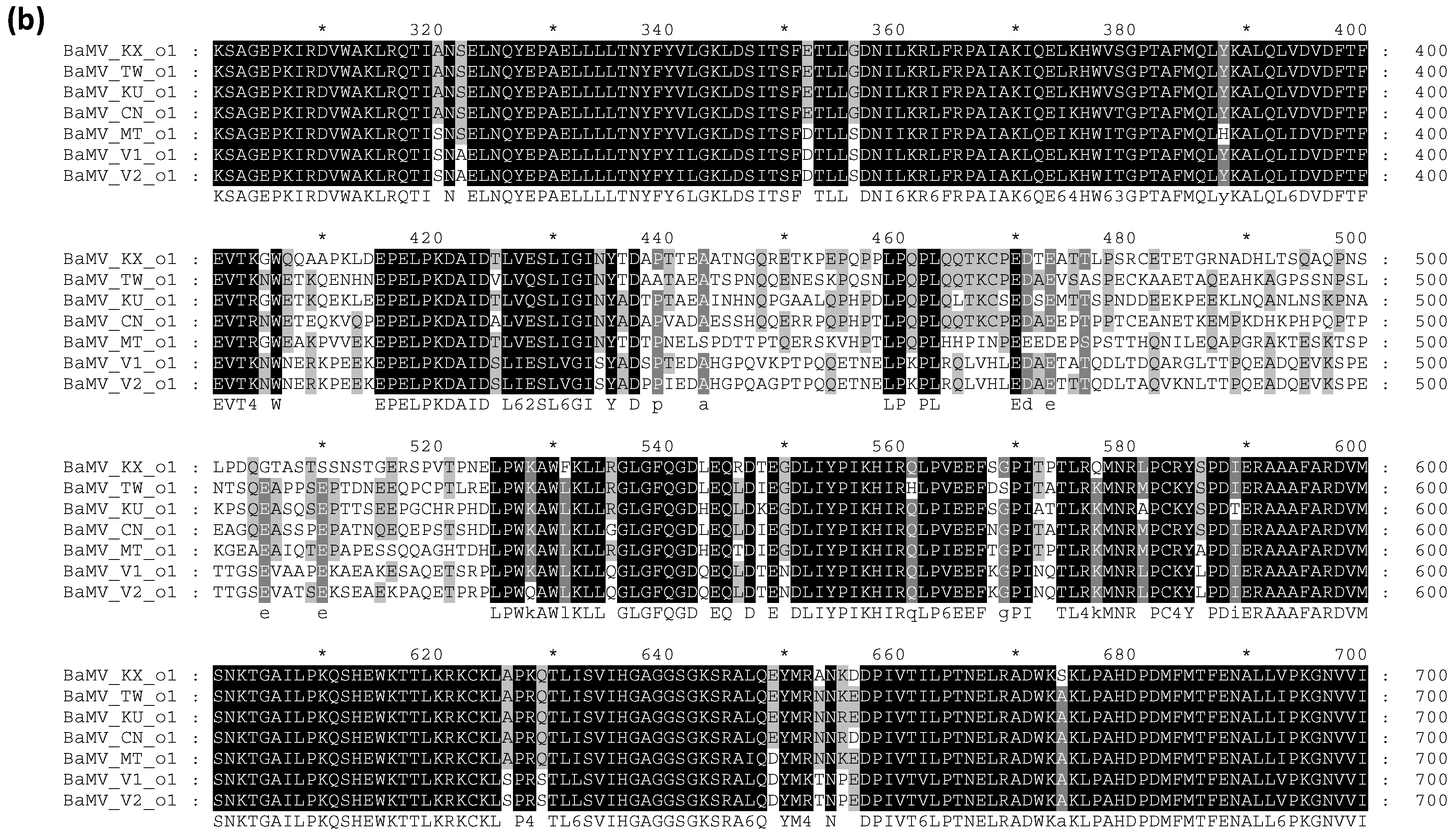 Viruses 14 00698 g006b