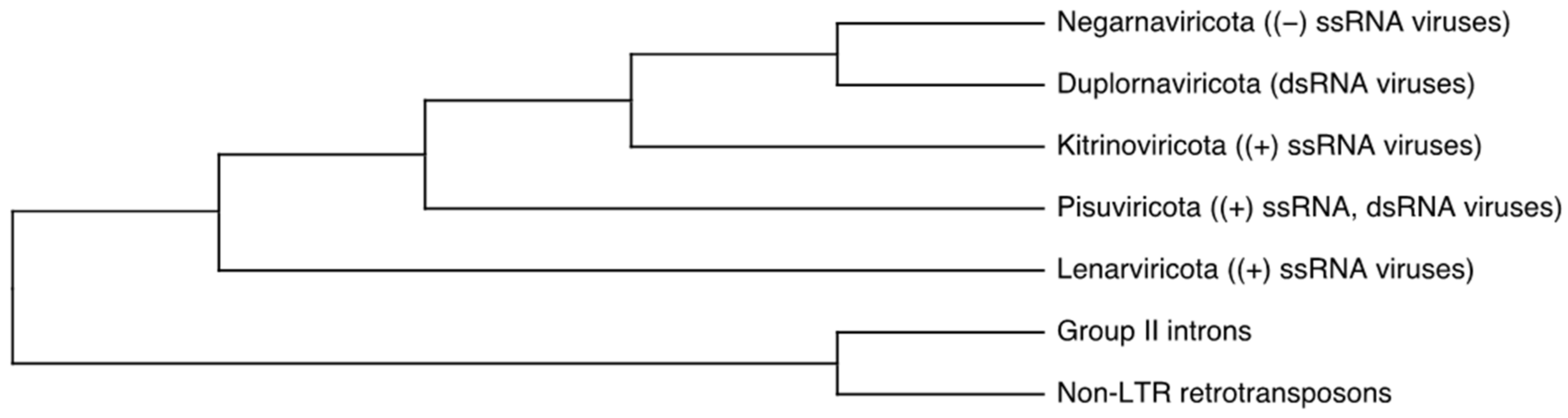 Viruses 14 00702 g001