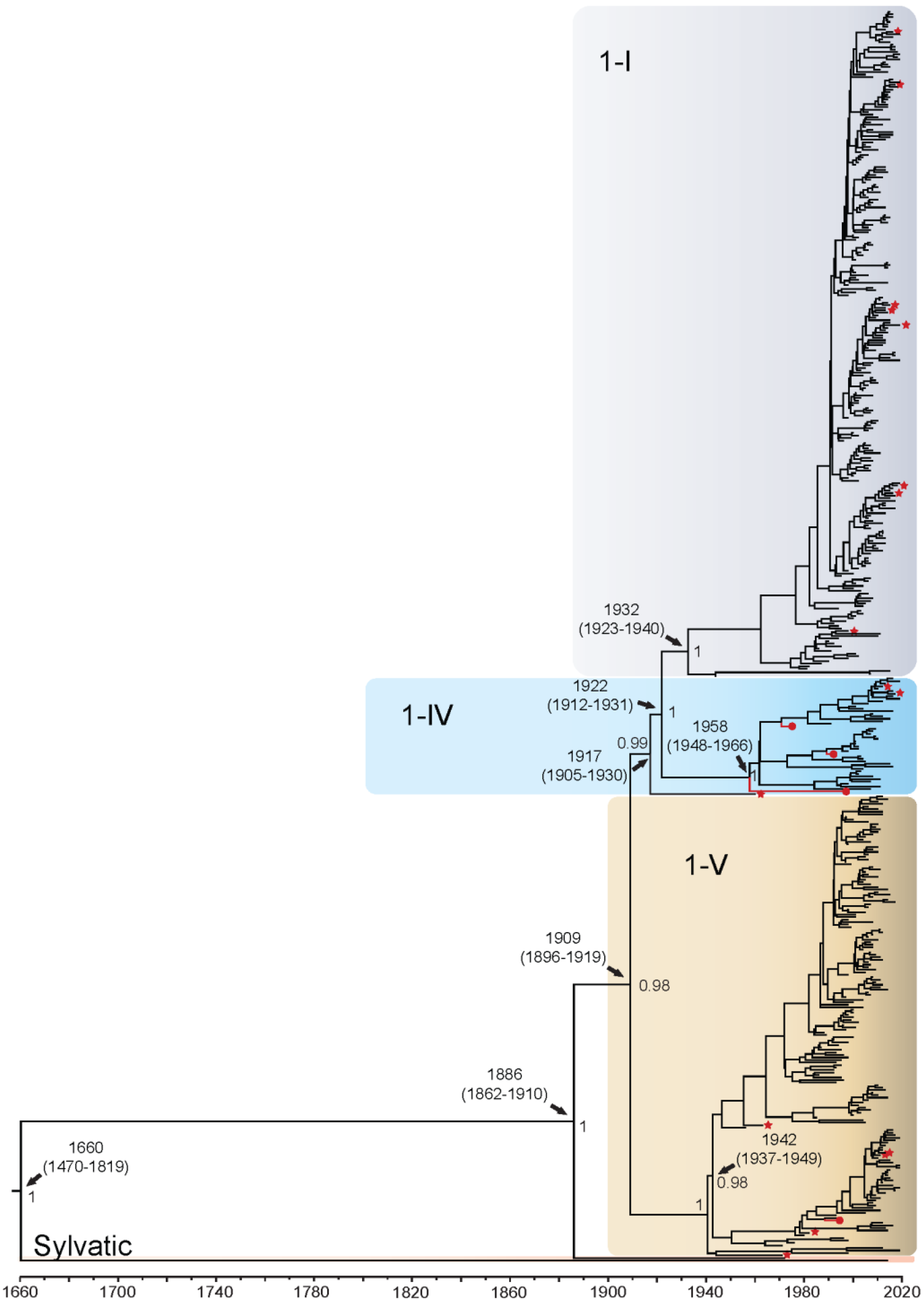 Viruses 14 00703 g001 550