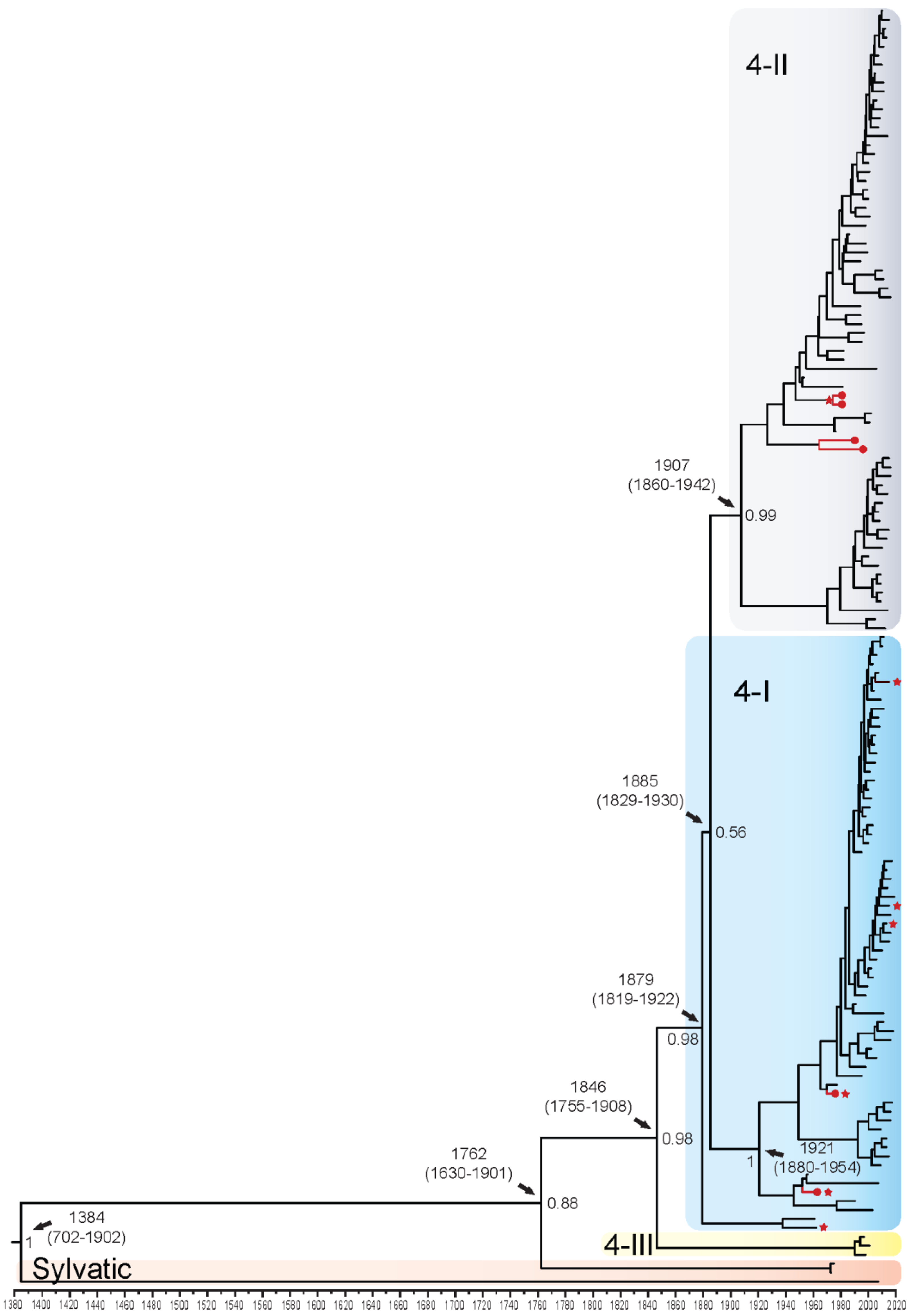 Viruses 14 00703 g004 550