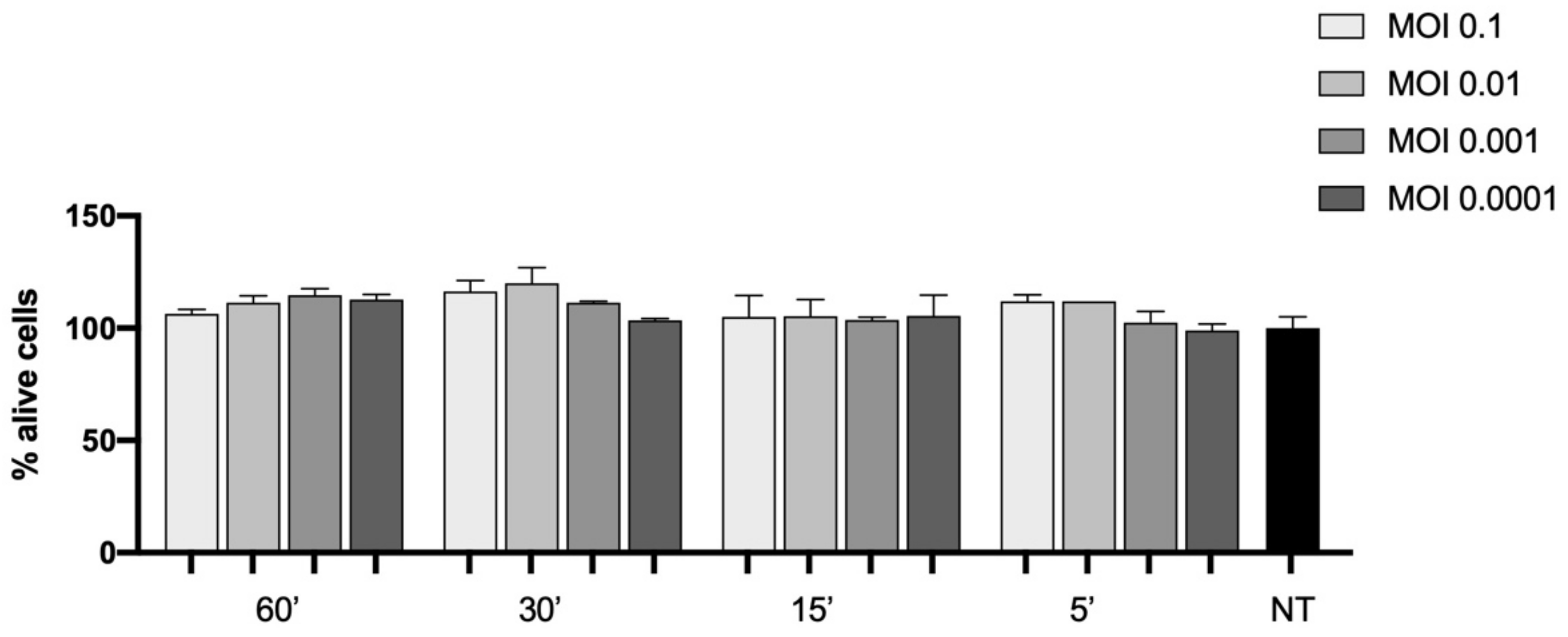 Viruses 14 00704 g003