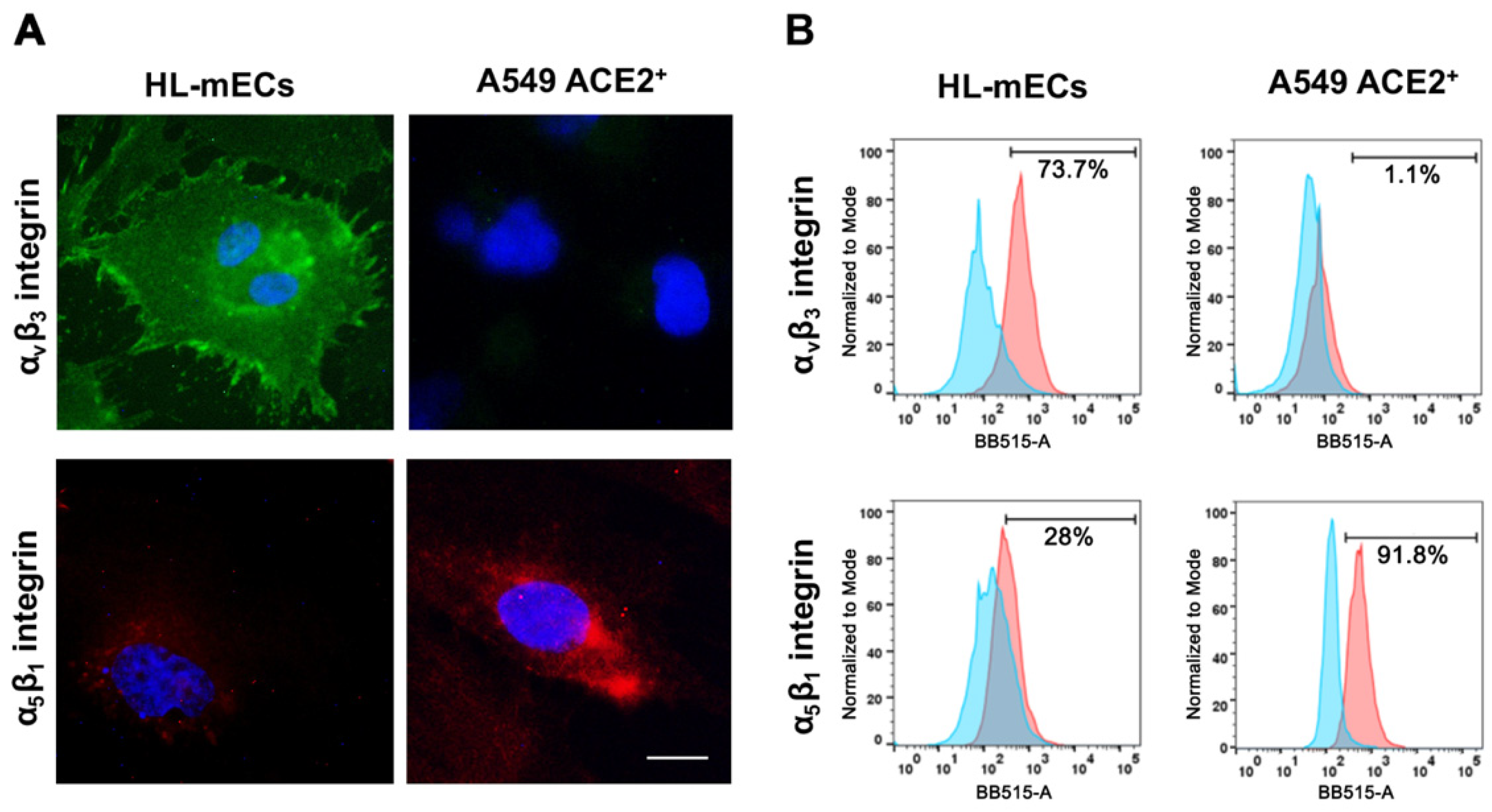 Viruses 14 00705 g001