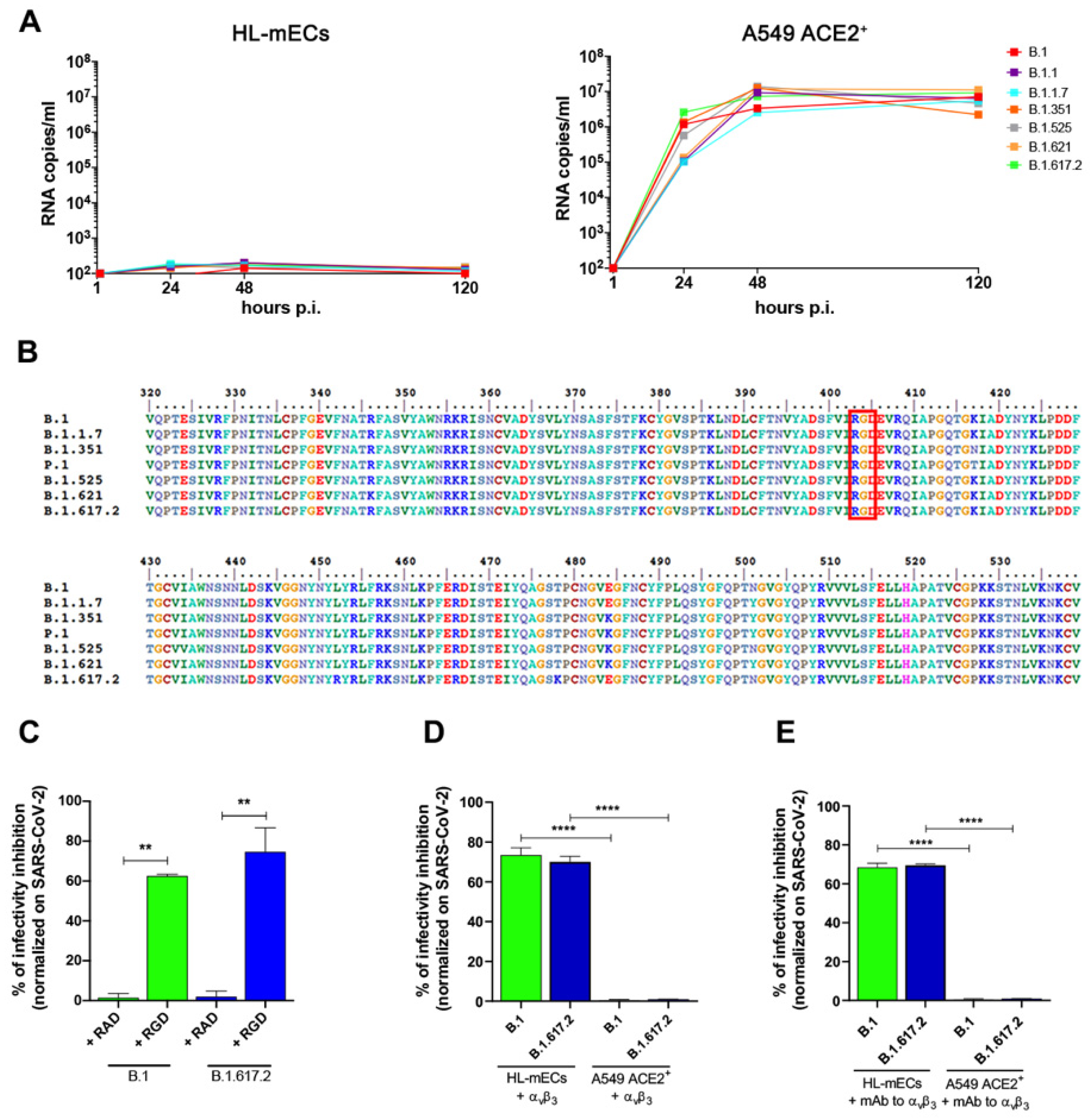 Viruses 14 00705 g002