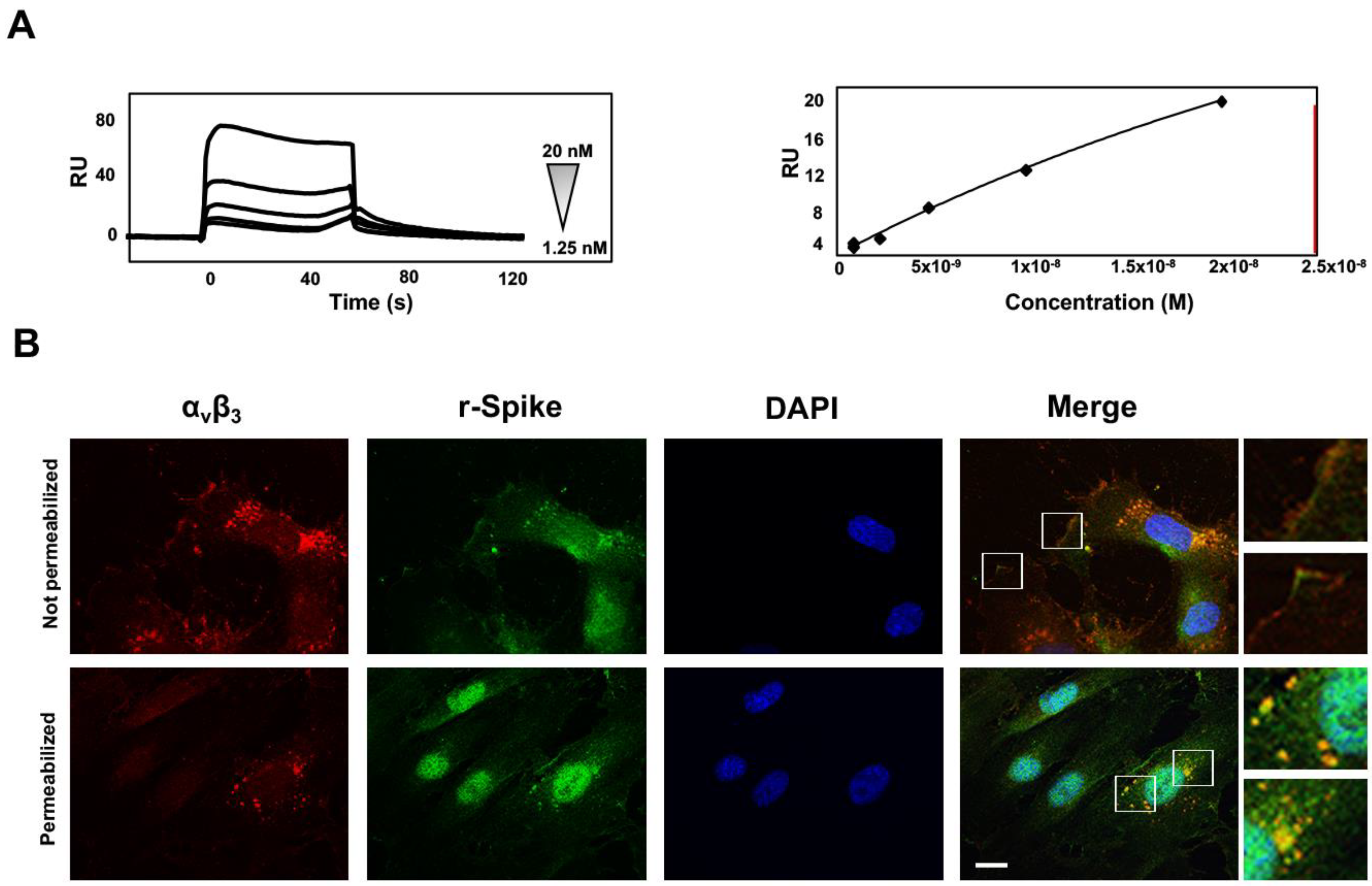 Viruses 14 00705 g005
