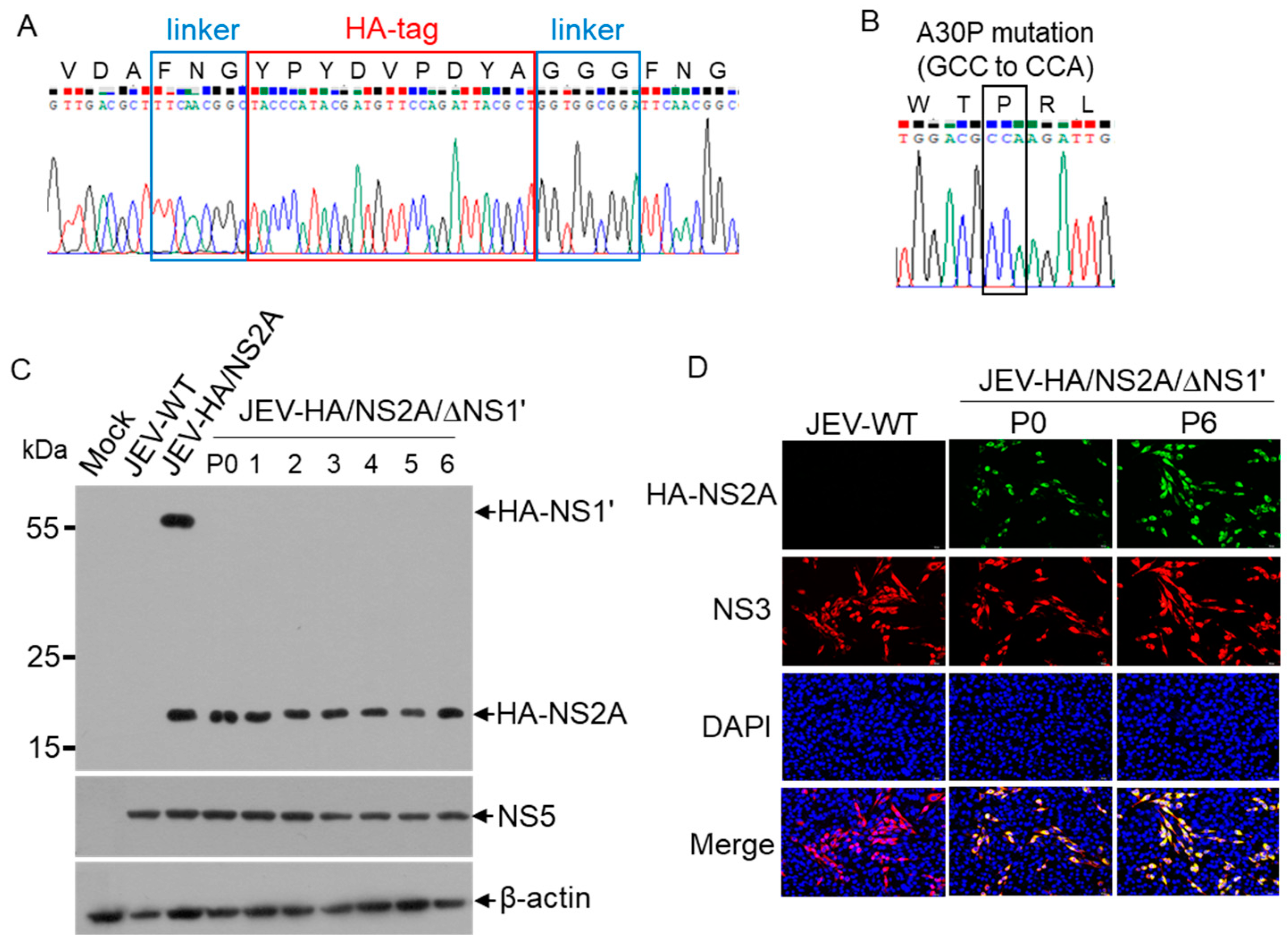 Viruses 14 00706 g002