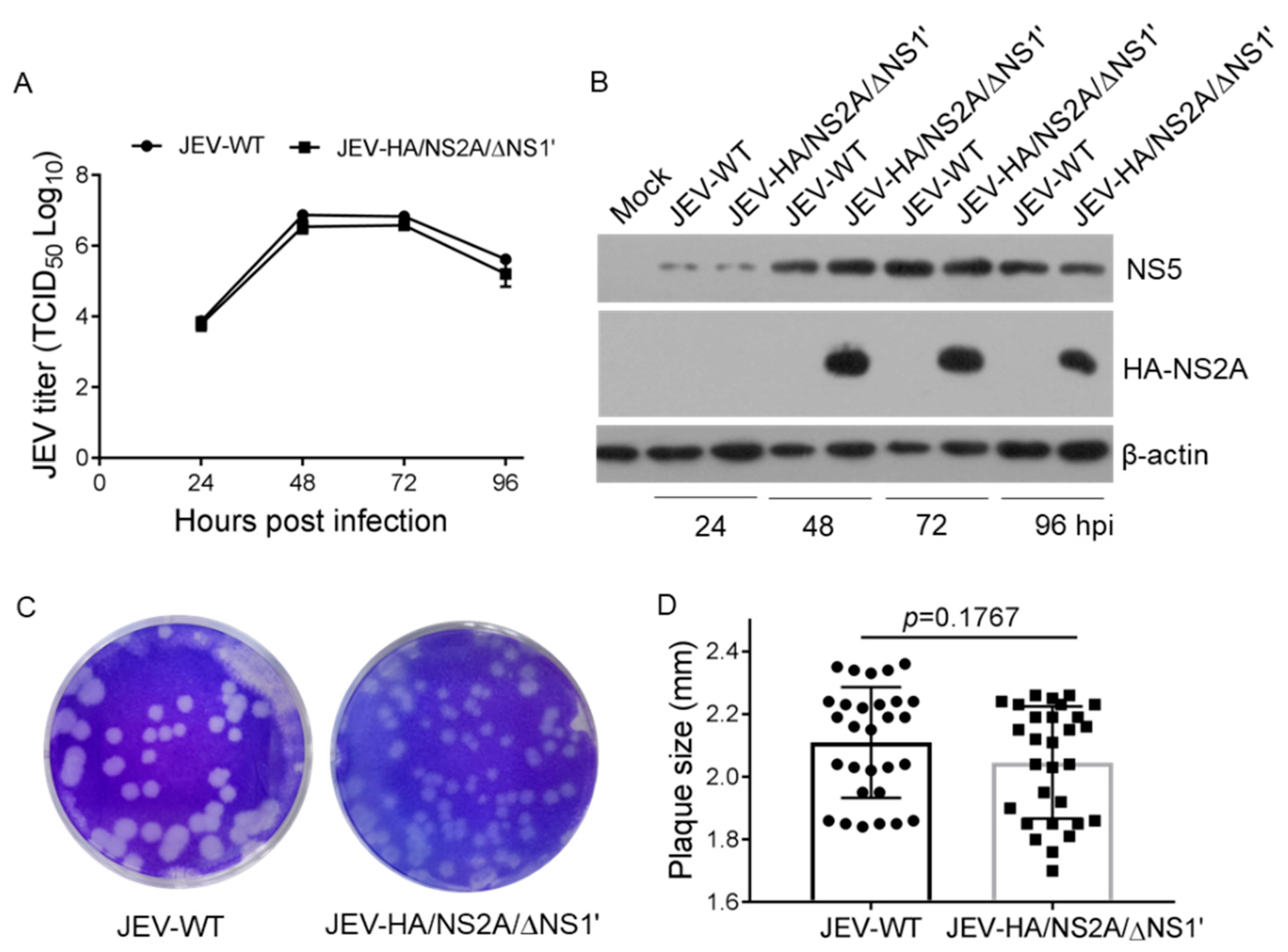 Viruses 14 00706 g003