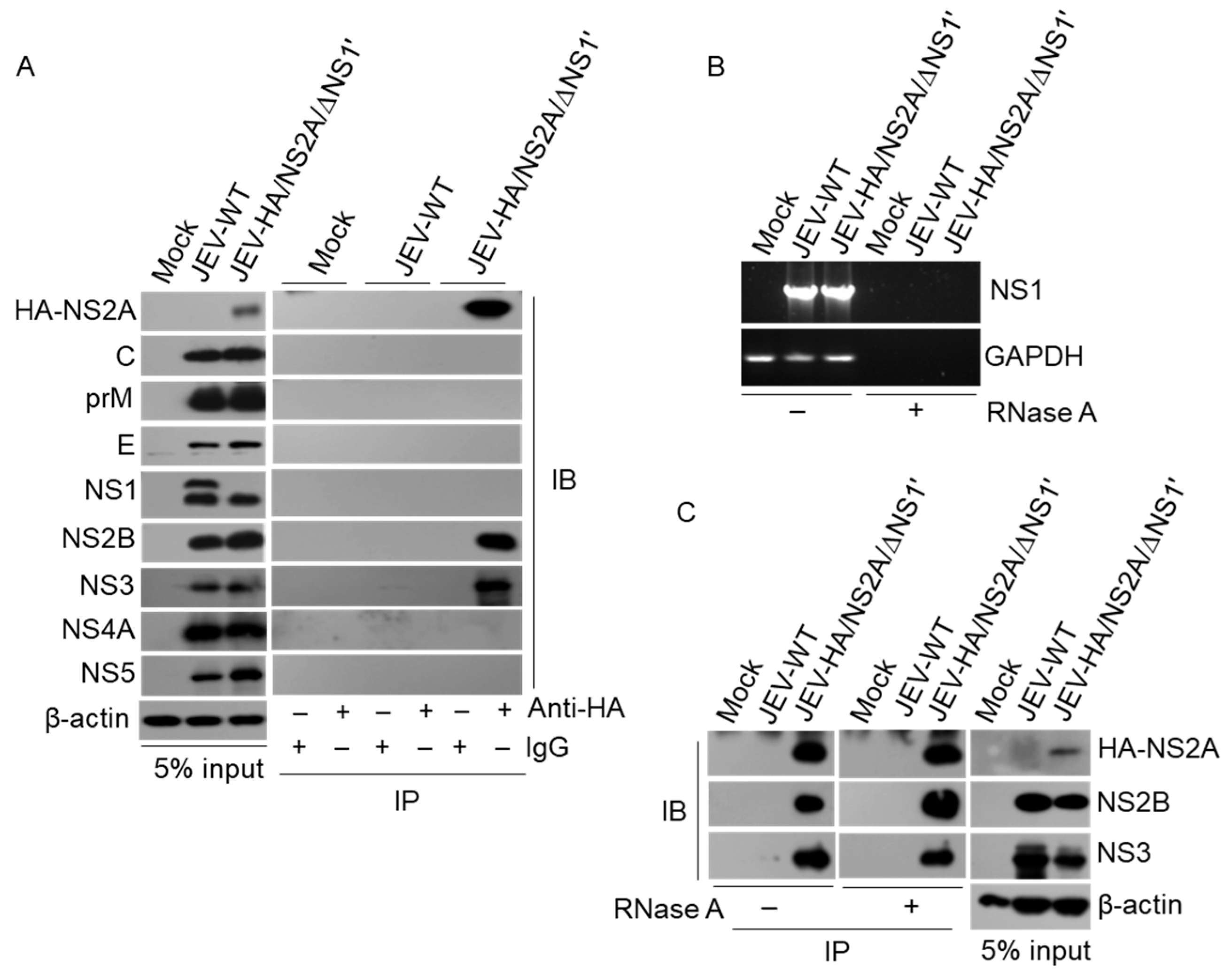 Viruses 14 00706 g005