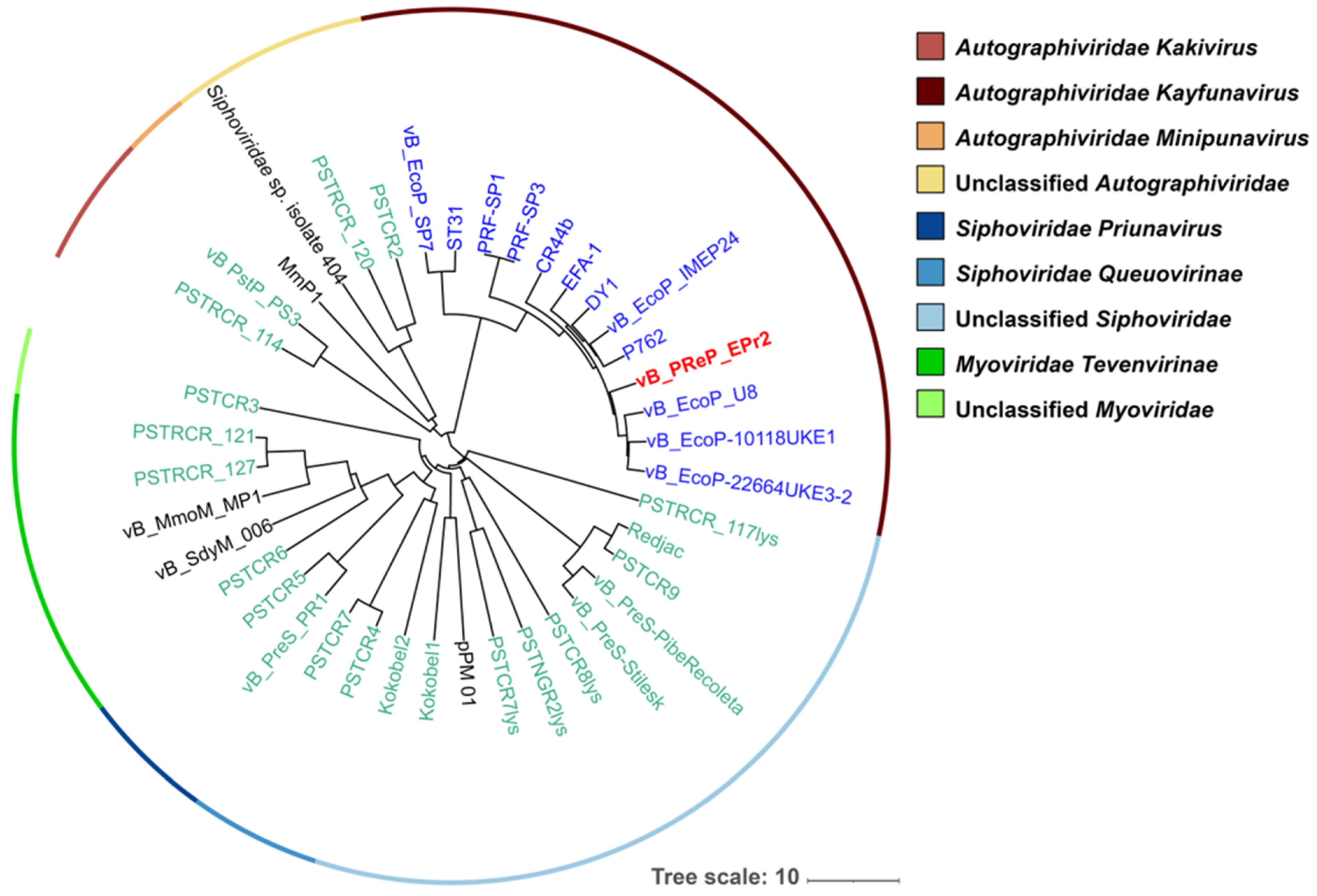 Viruses 14 00708 g003 550