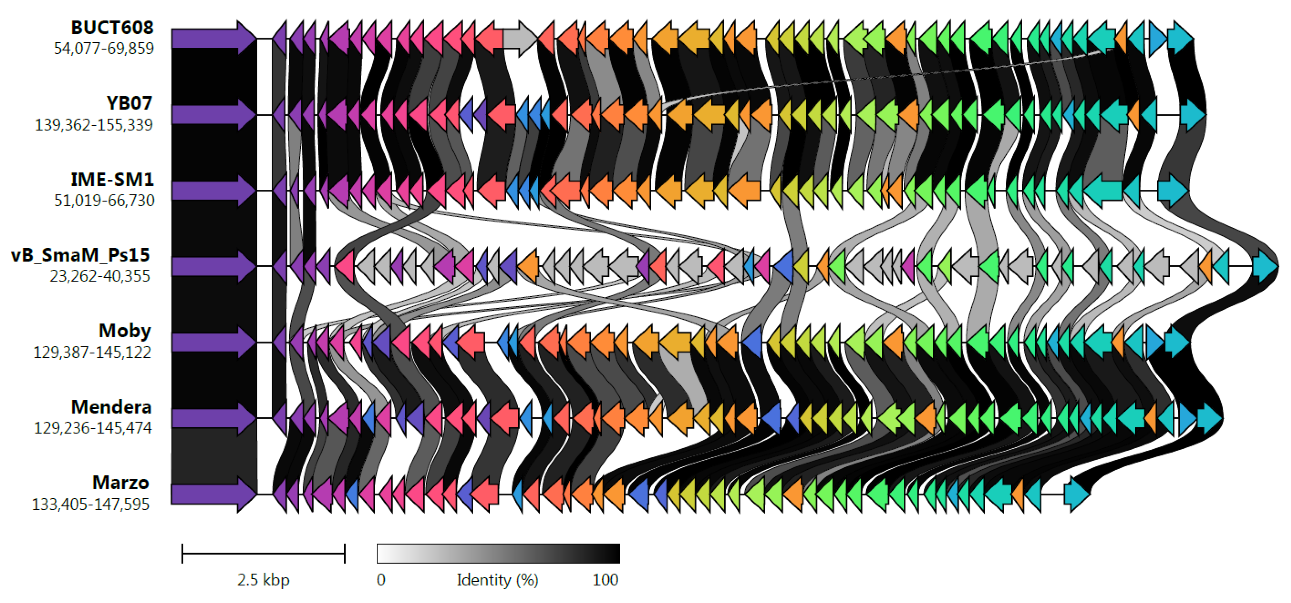 Viruses 14 00709 g009 Viruses 14 00709 g009