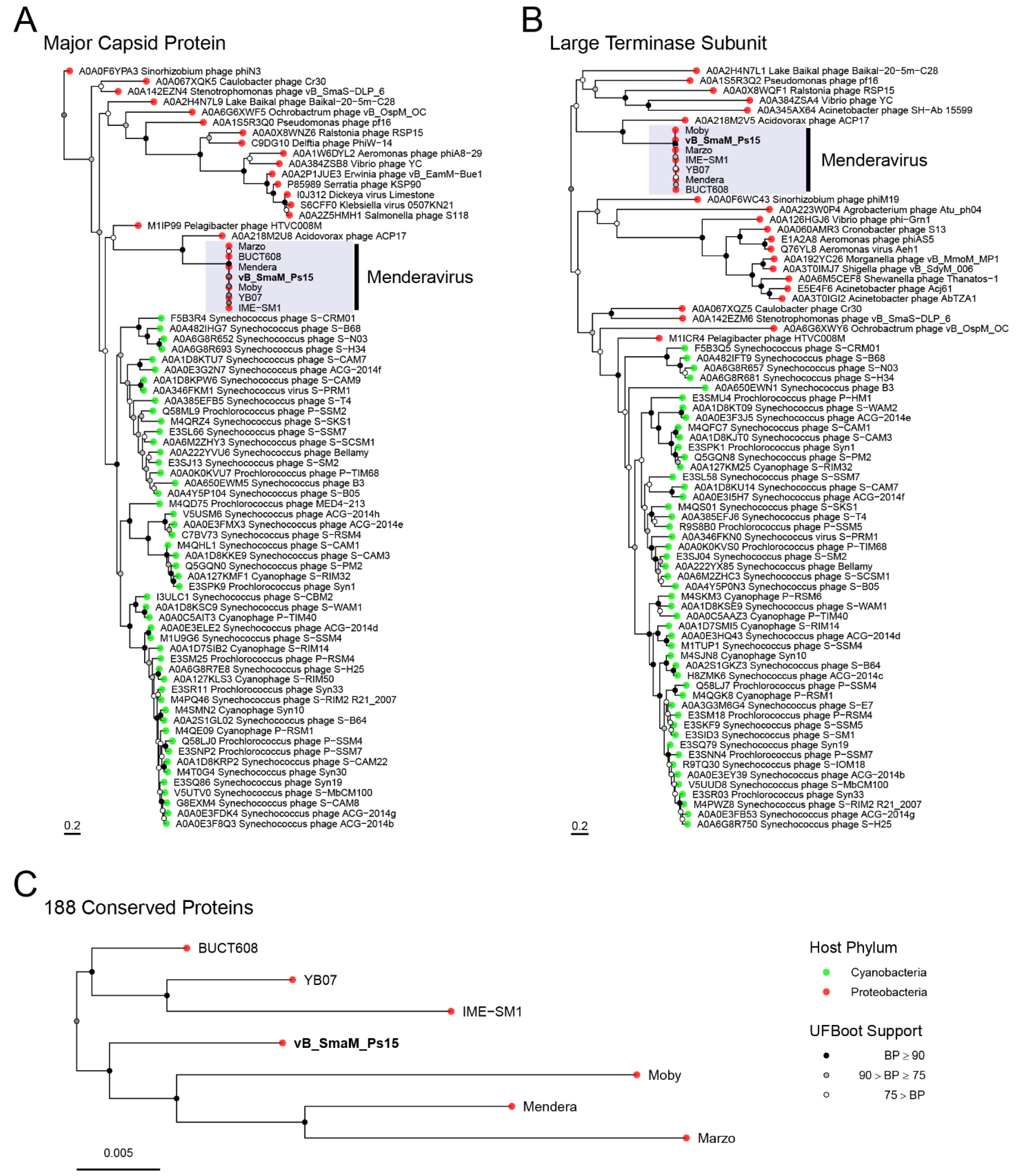 Viruses 14 00709 g010 Viruses 14 00709 g010