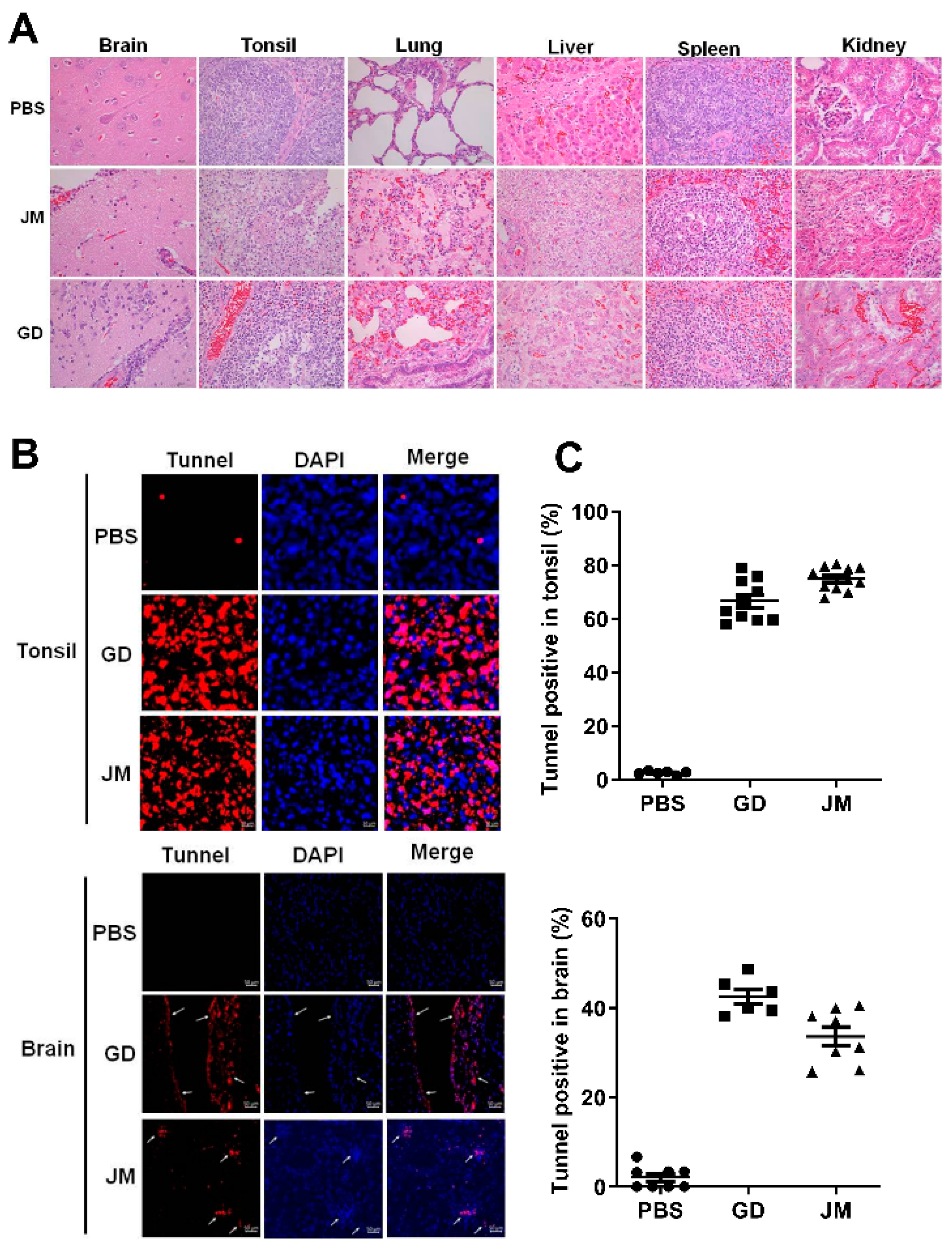 Viruses 14 00712 g007