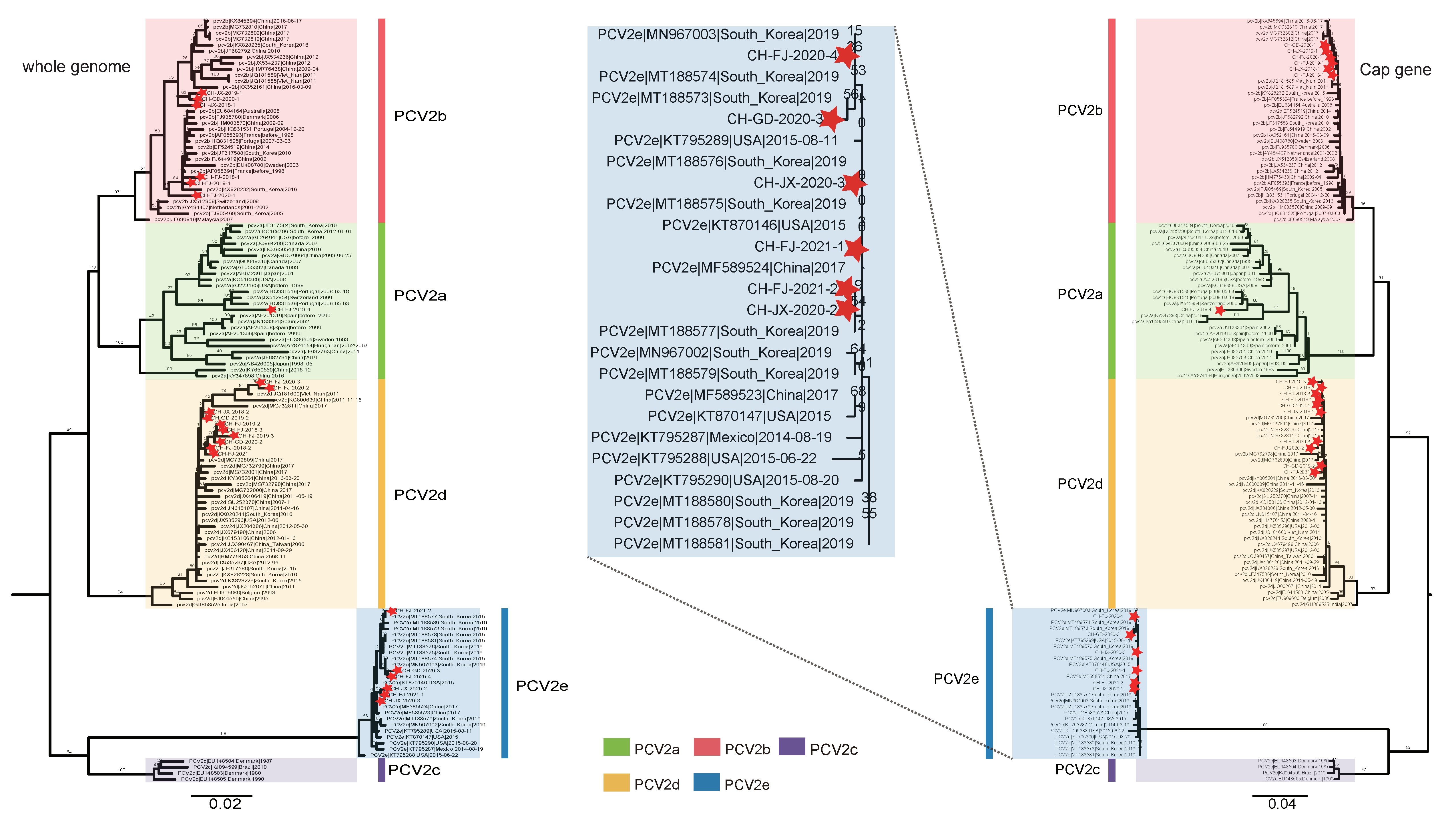 Viruses 14 00724 g001