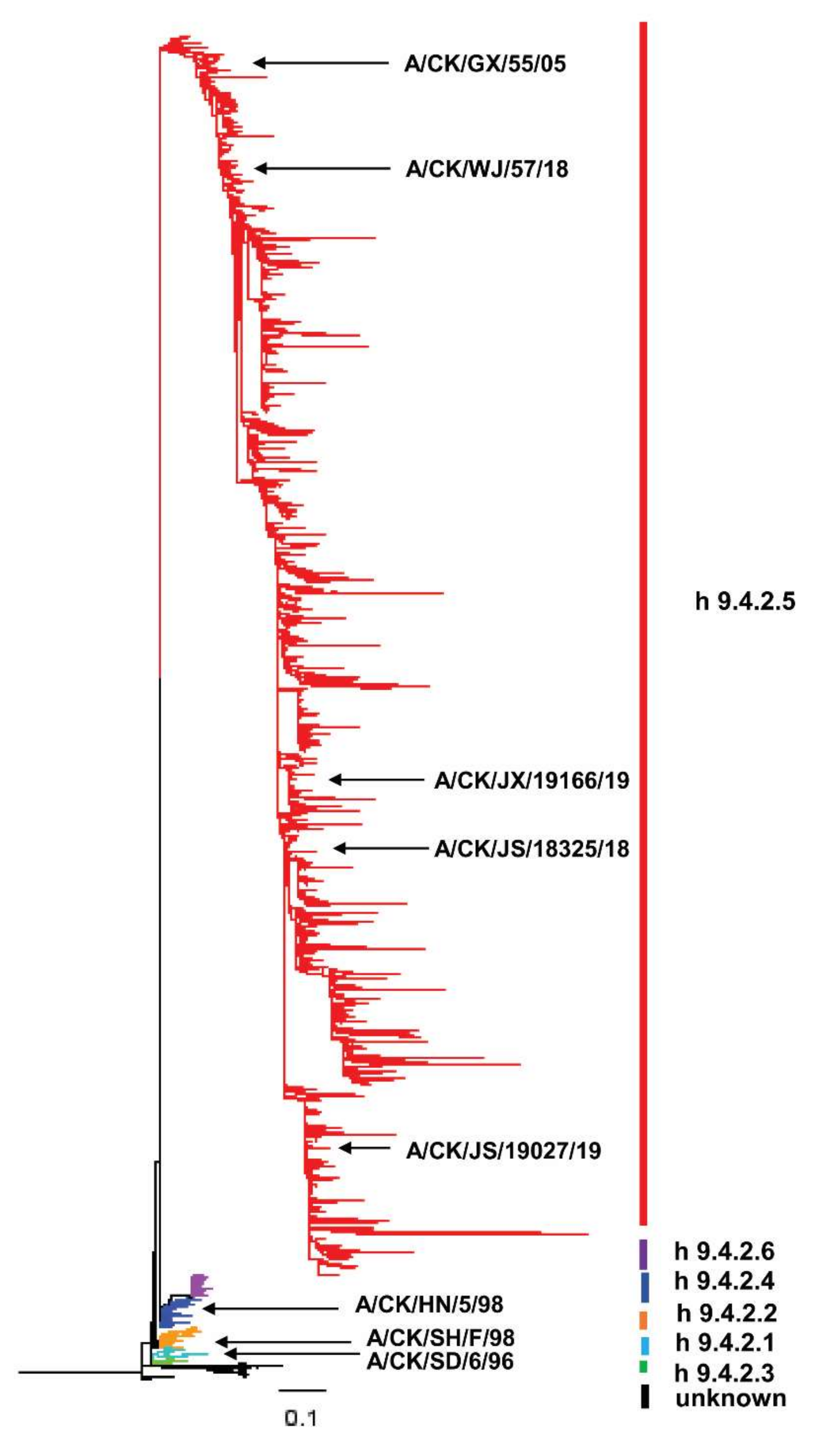 Viruses 14 00726 g001 550