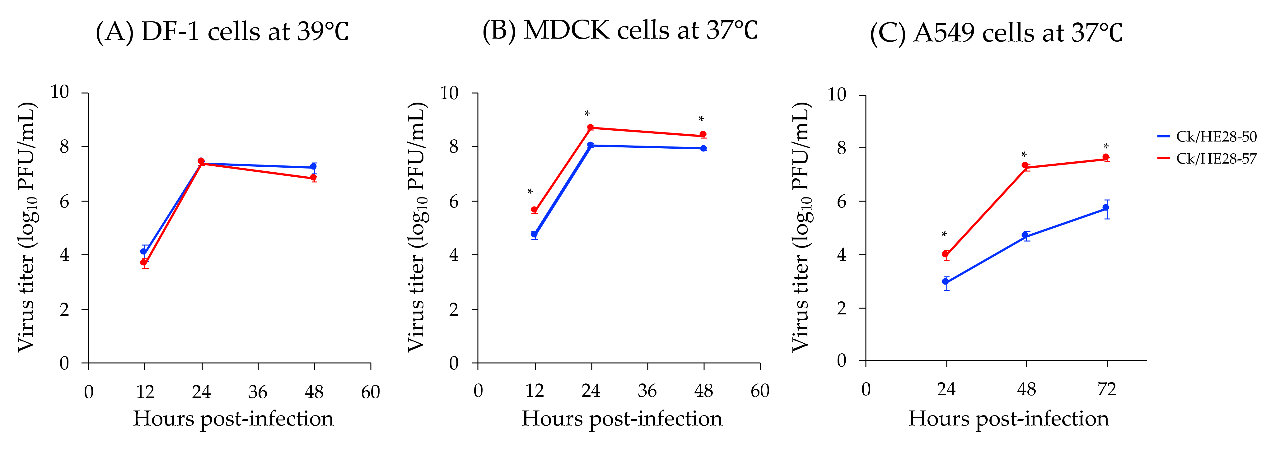 Viruses 14 00728 g001