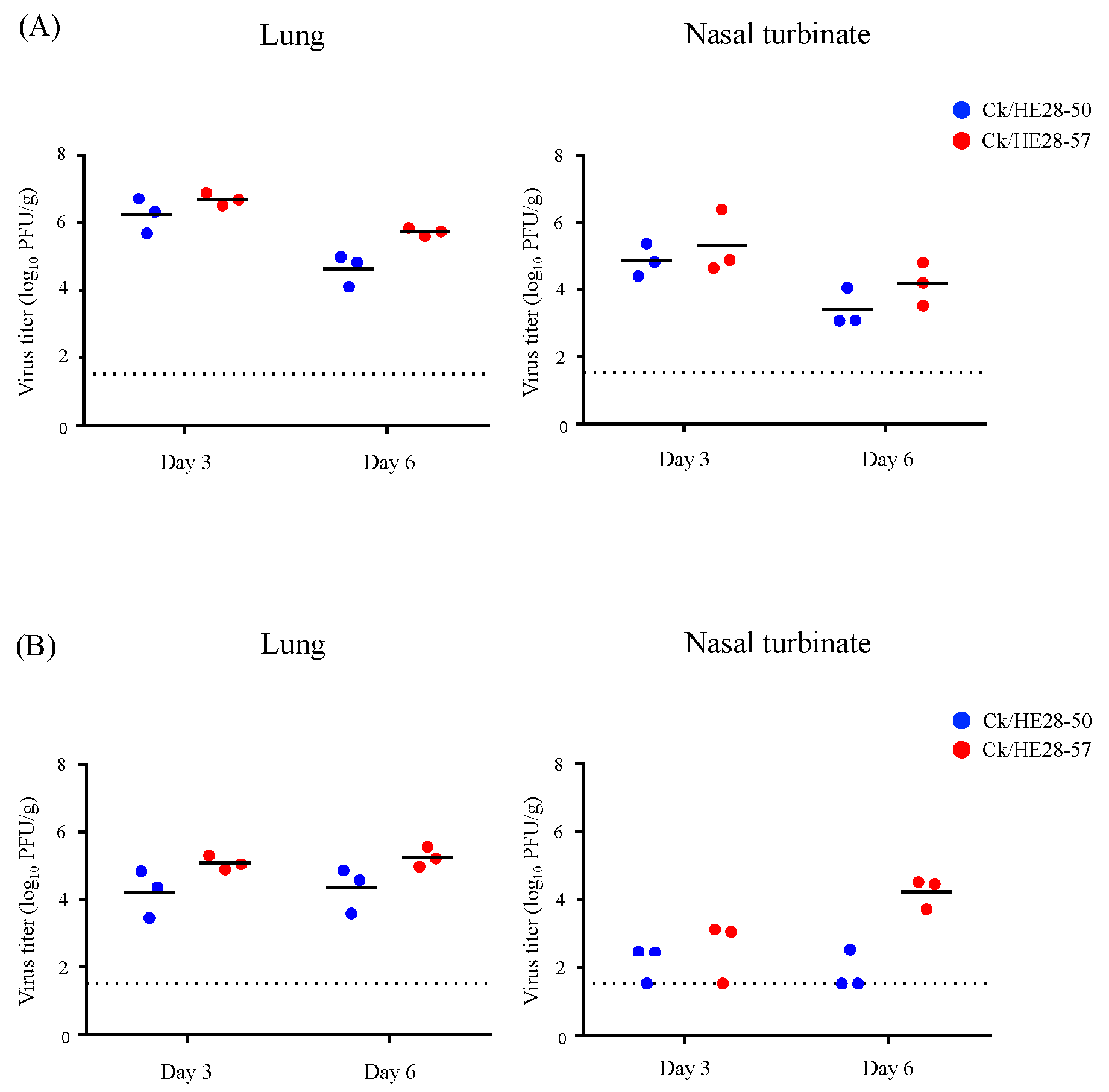 Viruses 14 00728 g002