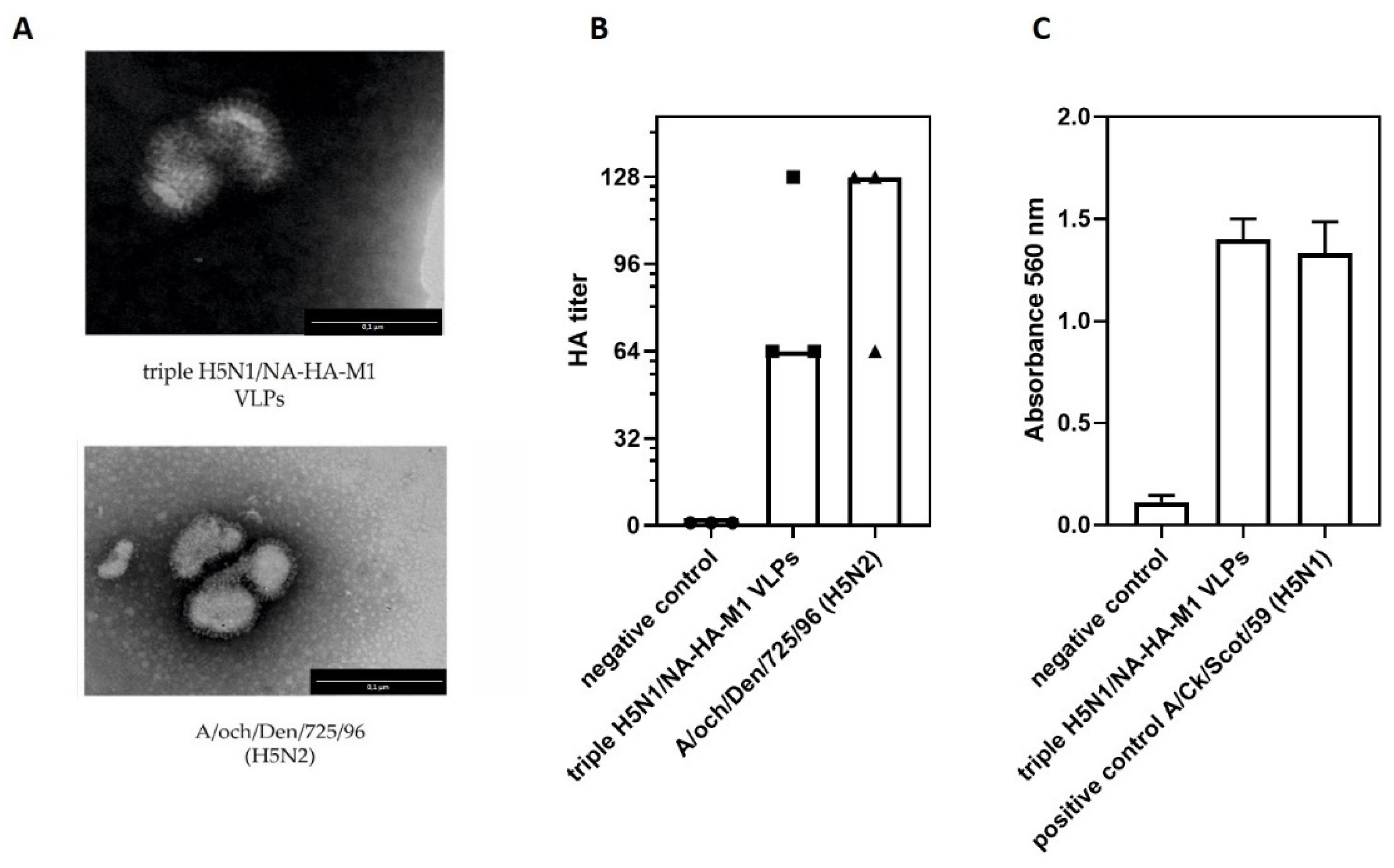 Viruses 14 00730 g002