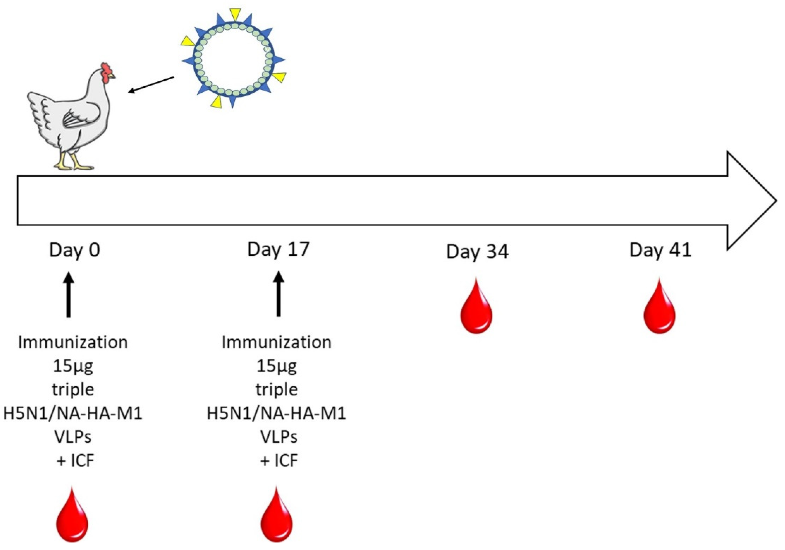 Viruses 14 00730 g003