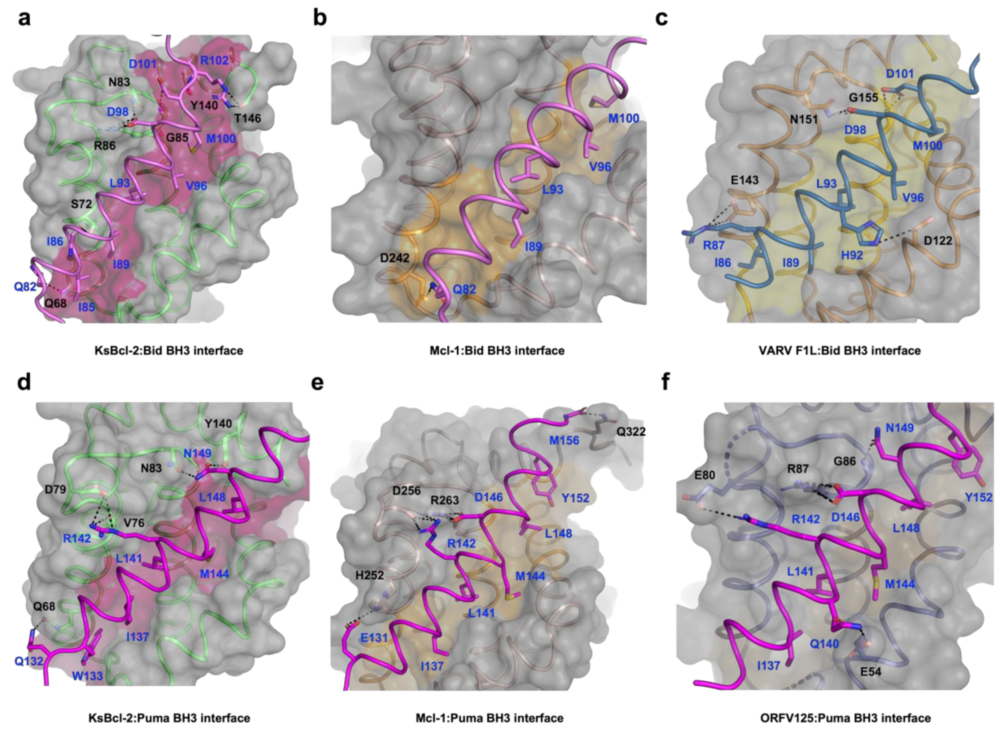 Viruses 14 00738 g002