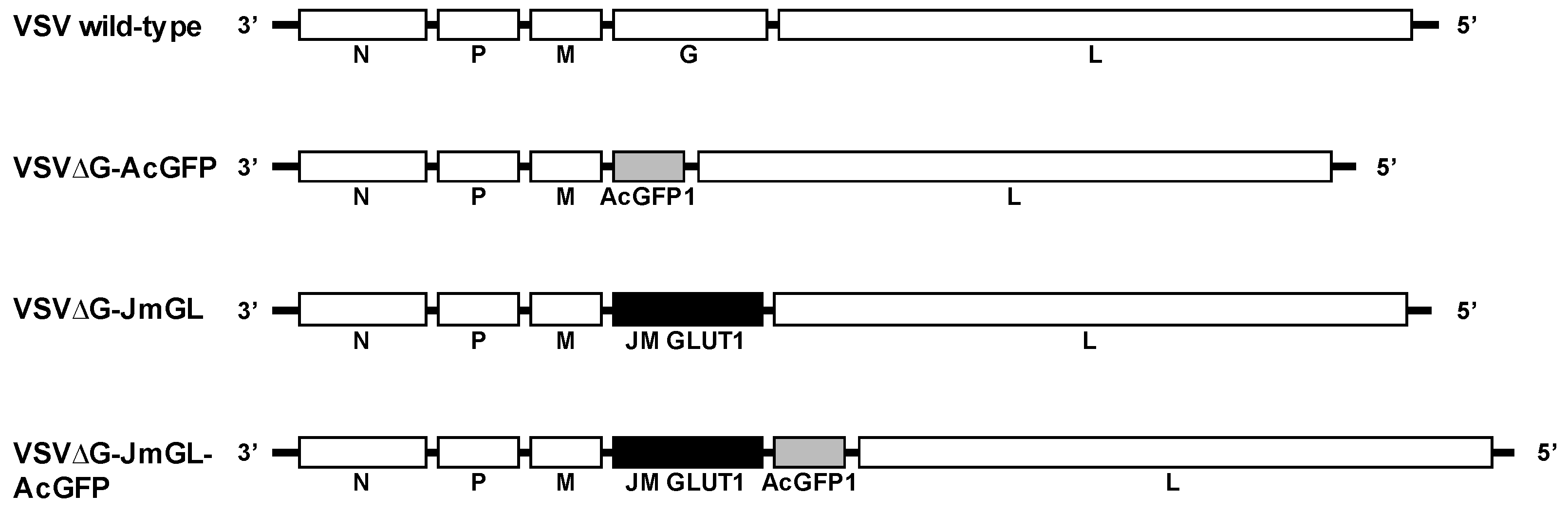 Viruses 14 00740 g001 Viruses 14 00740 g001