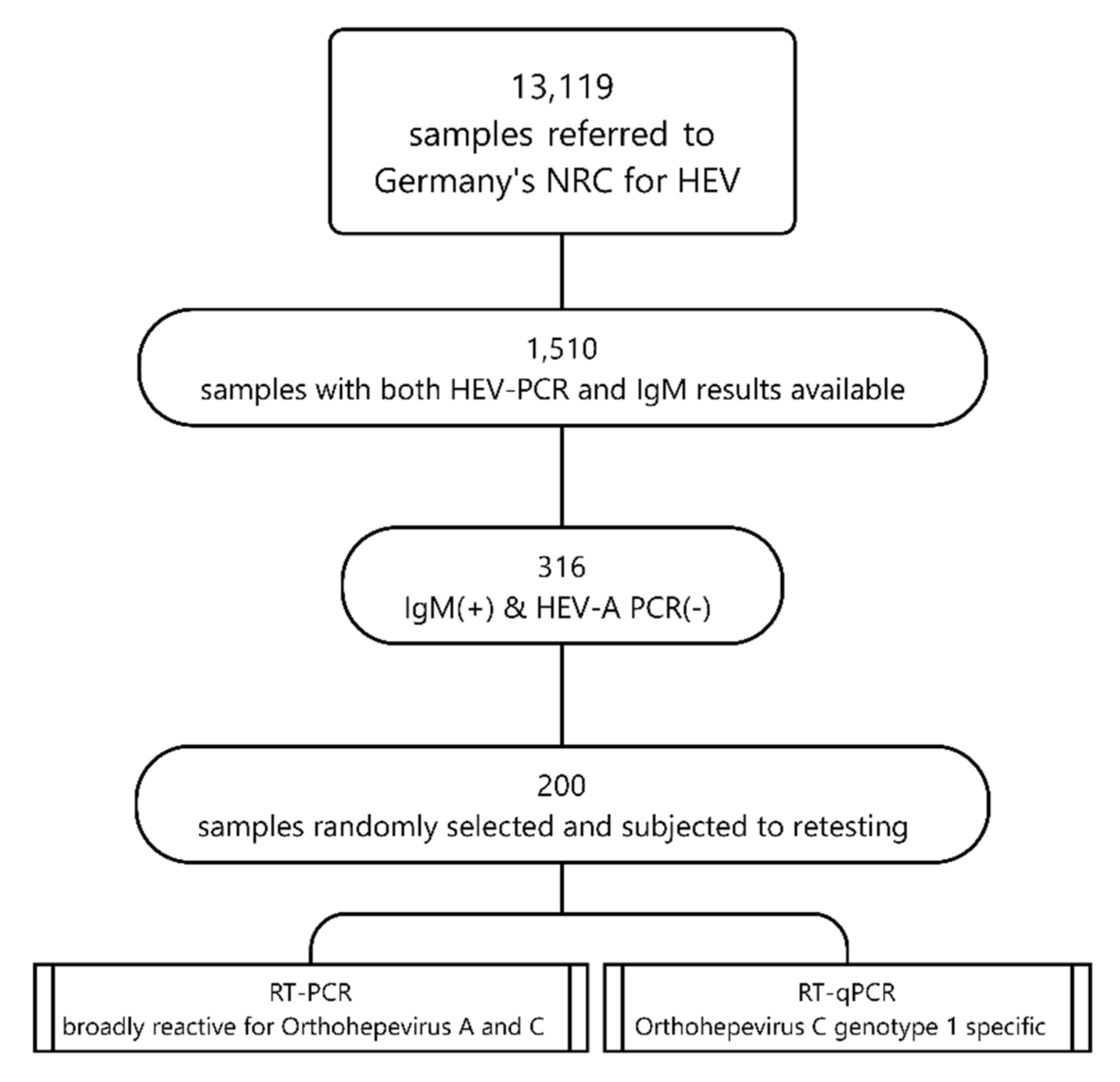 Viruses 14 00742 g001