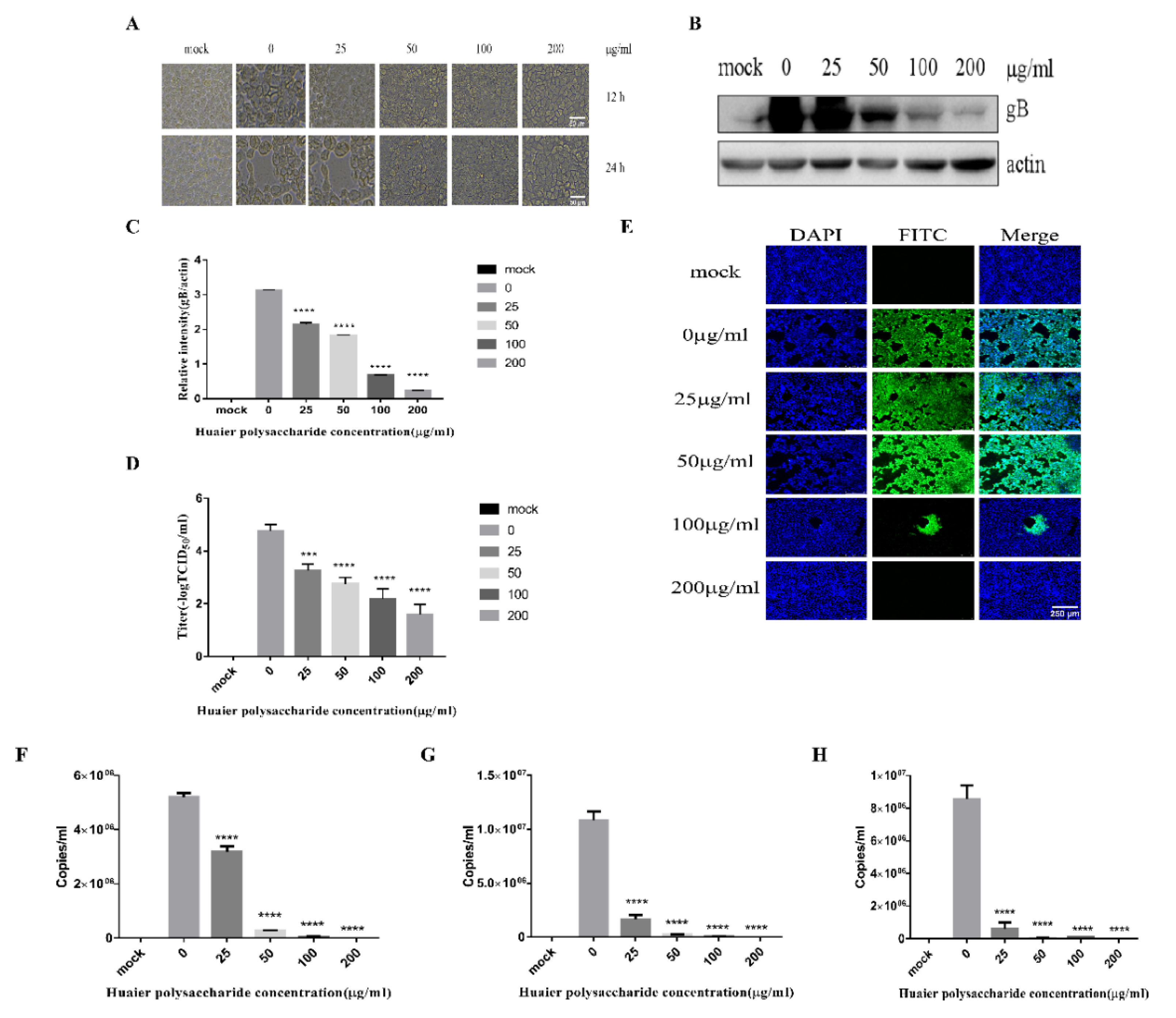 Viruses 14 00745 g002